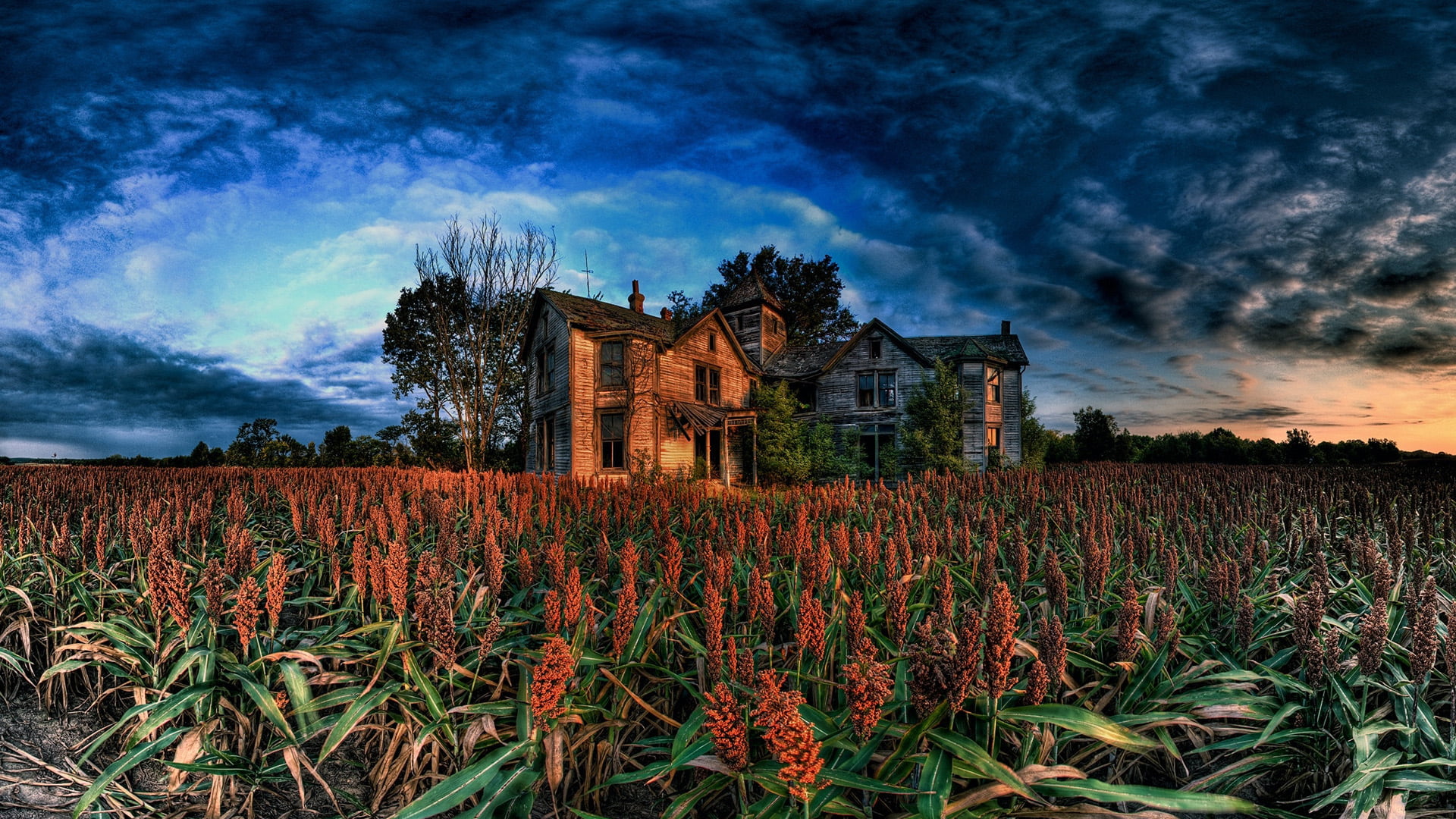 trees, barn, season, ruined, dramatic sky, natural, growth, building exterior, house, farm building, meadow, spring, history, park, day, built structure, HD Wallpaper