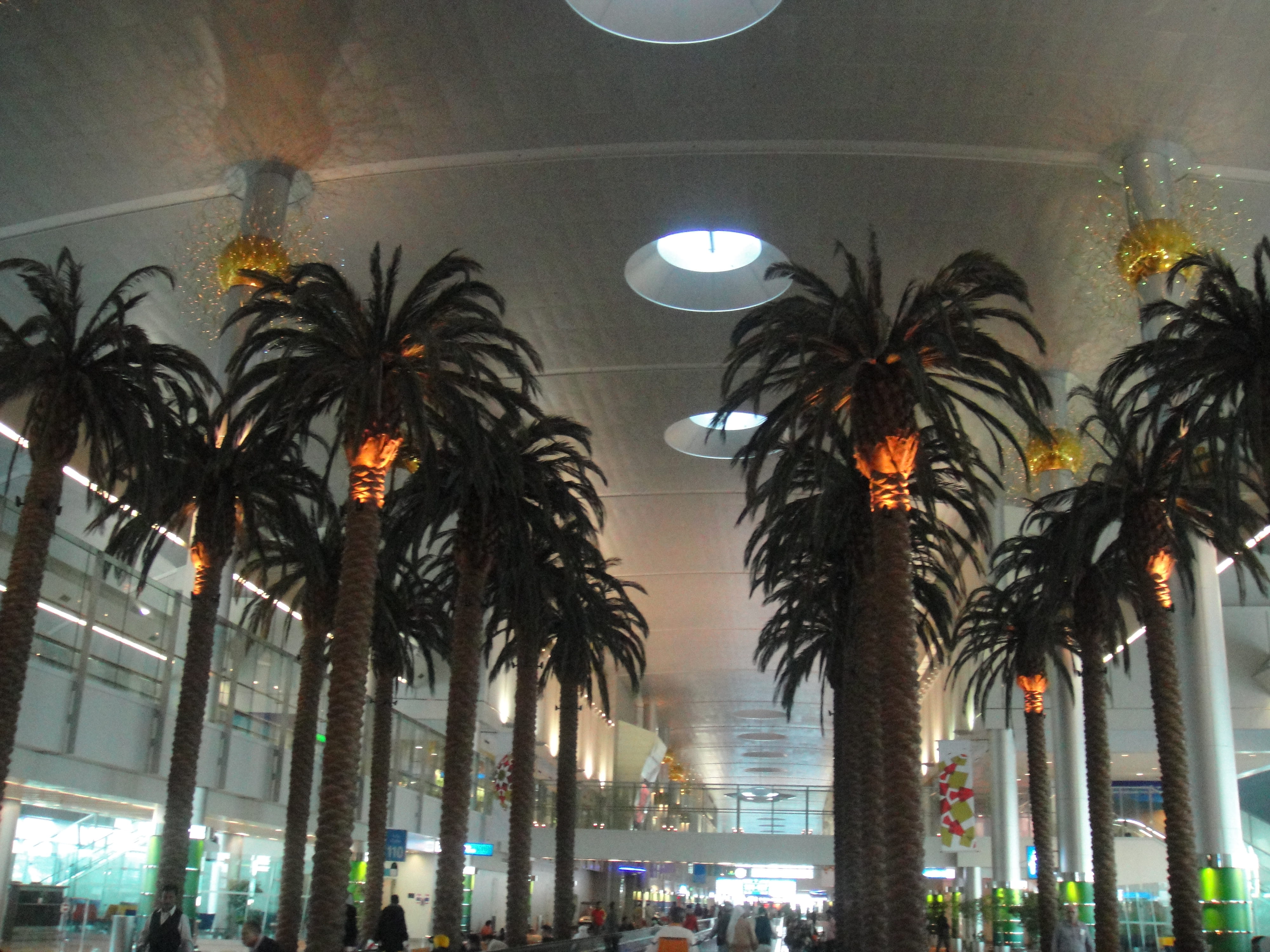 architecture, growth, #airport, tropical climate, illuminated, night, nature, built structure, city, tree, #love, united arab emirates, dubai international airport, HD Wallpaper