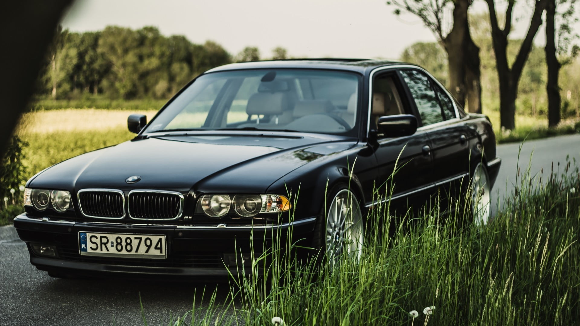 black, motor vehicle, nature, selective focus, grass, plant, no people, car, silver colored, BMW, stationary, close-up, tree, day, sedan, green color, focus on foreground, HD Wallpaper