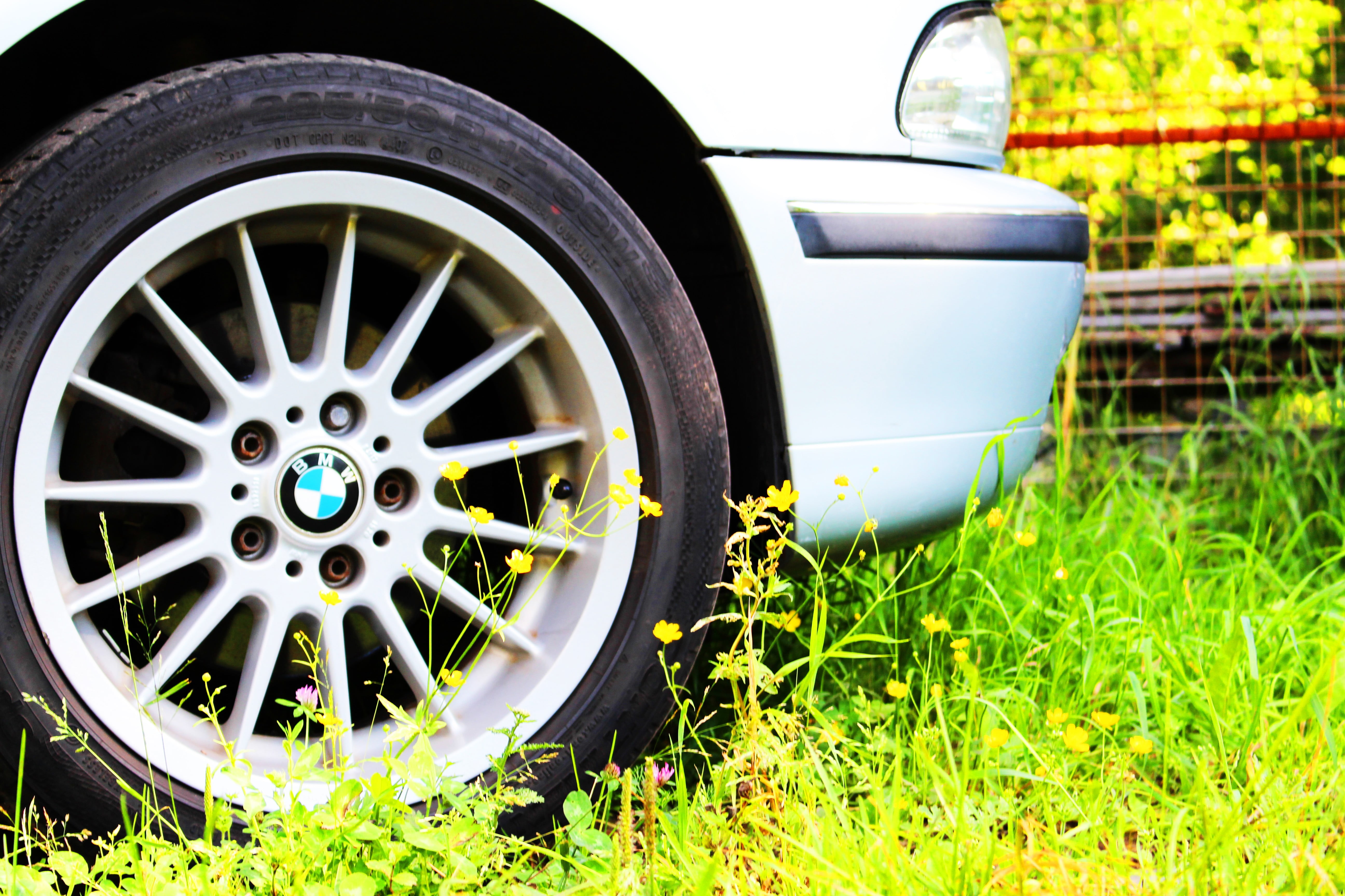 silver colored, car, stationary, wheel, lights, vehicle, flowers, green color, alloy, plant, wheels, chrome, at the edge of, 5K, nature, motor vehicle, HD Wallpaper