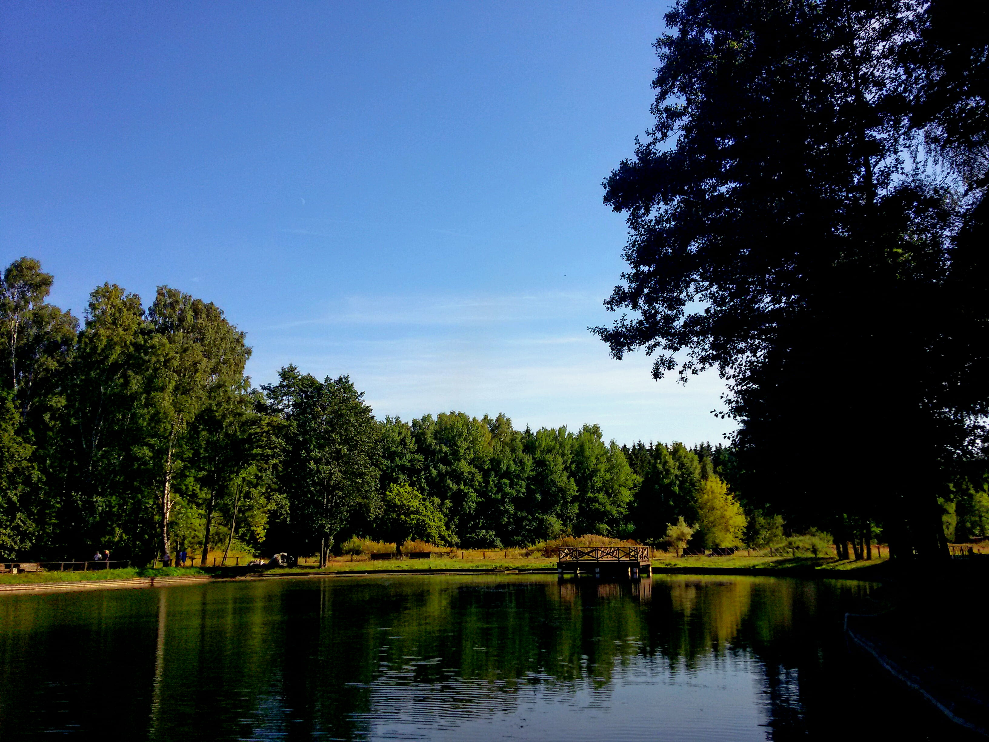 green color, water, summer, growth, non-urban scene, pond, plant, 2K, reflection, tranquility, landscape, dawn, blue sky, day, lake, tree, season, forest, HD Wallpaper