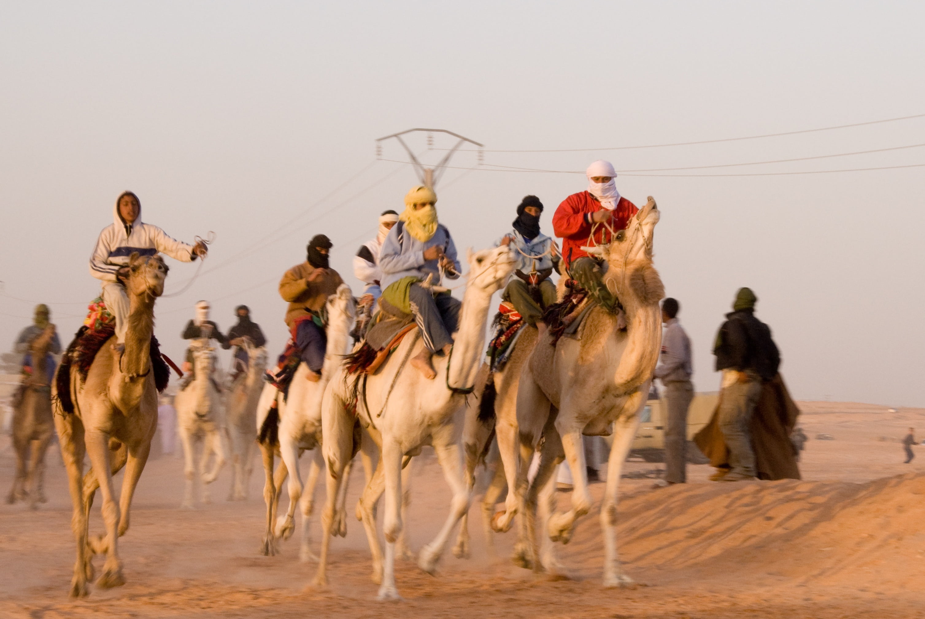 working animal, outdoors, nature, race, desert, motion, warm-up, sky, group of people, mammal, 2K, animal, group, camel, men, horses, domestic animals, HD Wallpaper