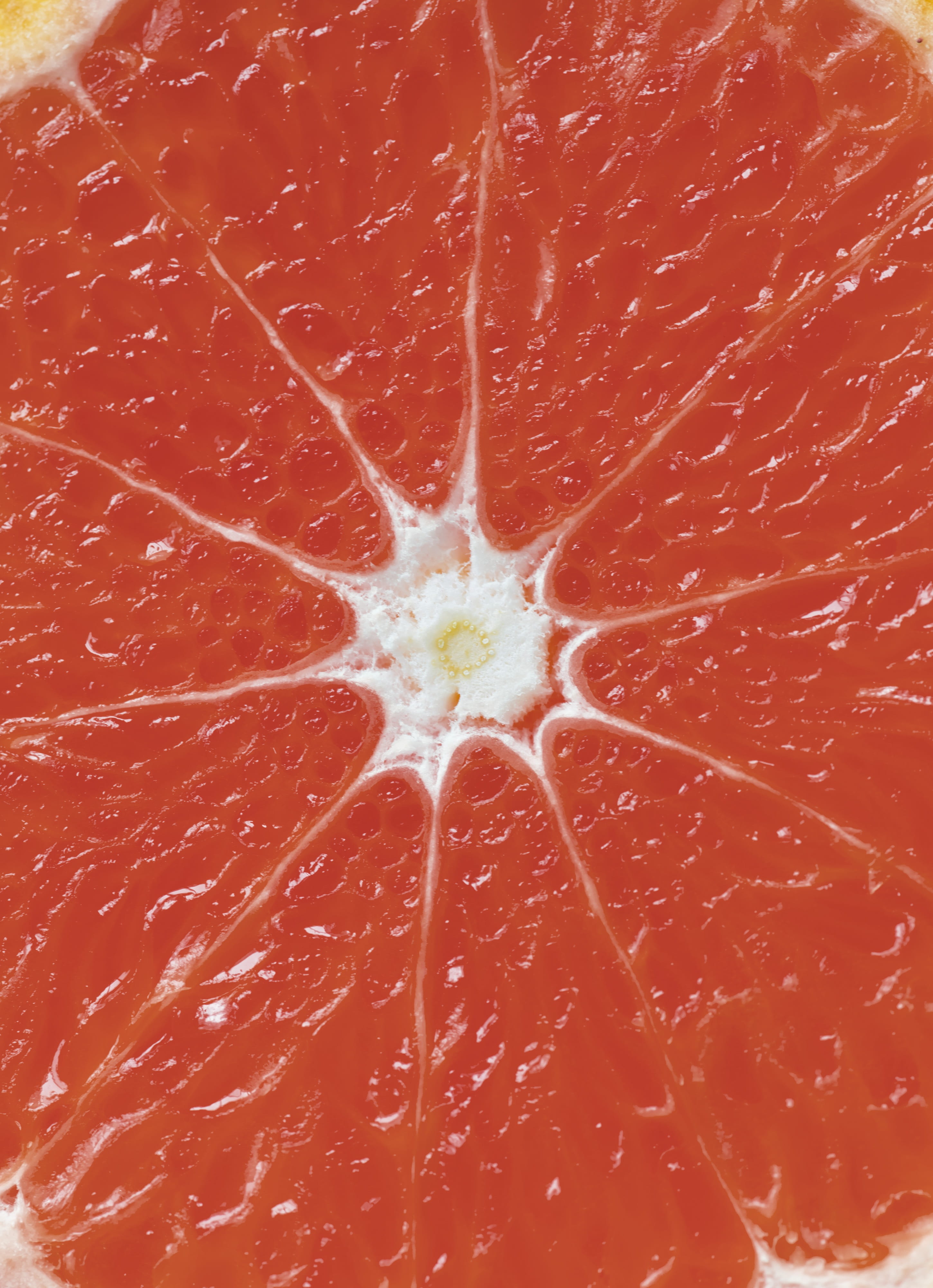 healthy eating, orange color, backgrounds, wellbeing, close-up, refreshing, vitamin c, sour, cross section, juicy, health, ripe, orange, nutrition, no people, Phone HD Wallpaper