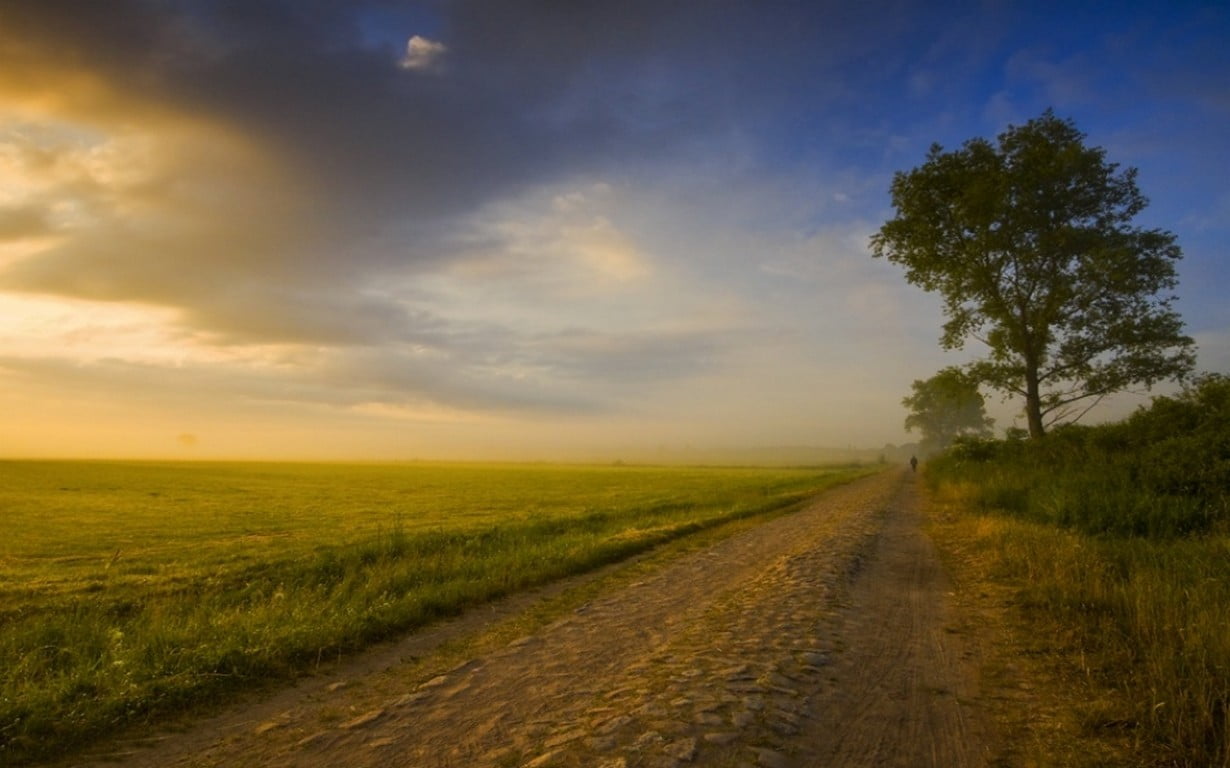 grass, clouds, plant, outdoors, green, tranquil scene, dirt road, walking, cloud - sky, 480P, scenics - nature, land, beauty in nature, field, road, Poland, HD Wallpaper
