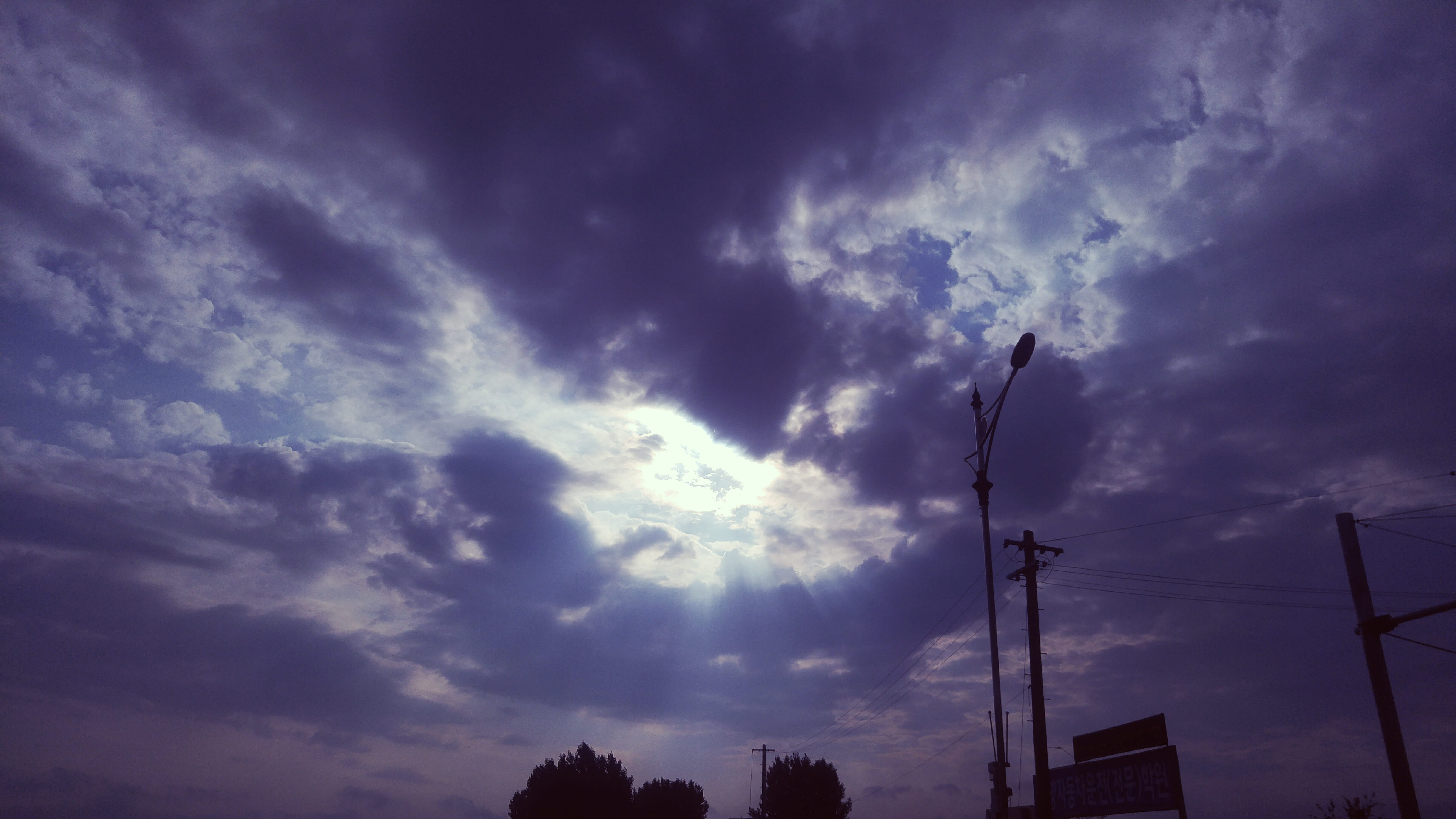 landscape, cloudscape, nail, connection, outdoors, boston, dramatic sky, plants, communication, electricity, street, blue, in the evening, nature, HD Wallpaper