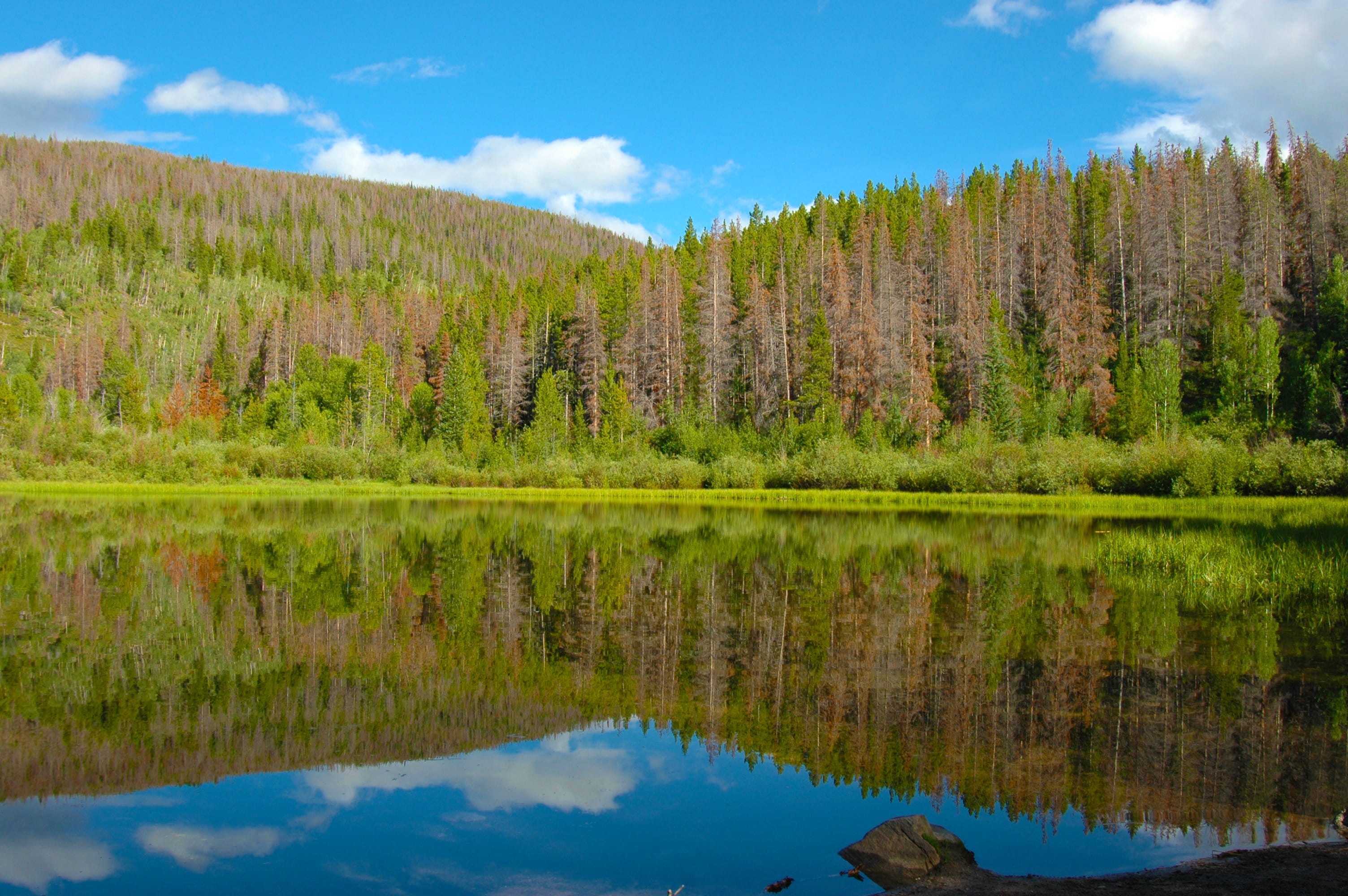 tourism, beauty in nature, land, highlands, pine tree, wilderness, day, attraction, outdoors, tourist, view, rocky, lake, sunny, trees, reflection, plant, HD Wallpaper