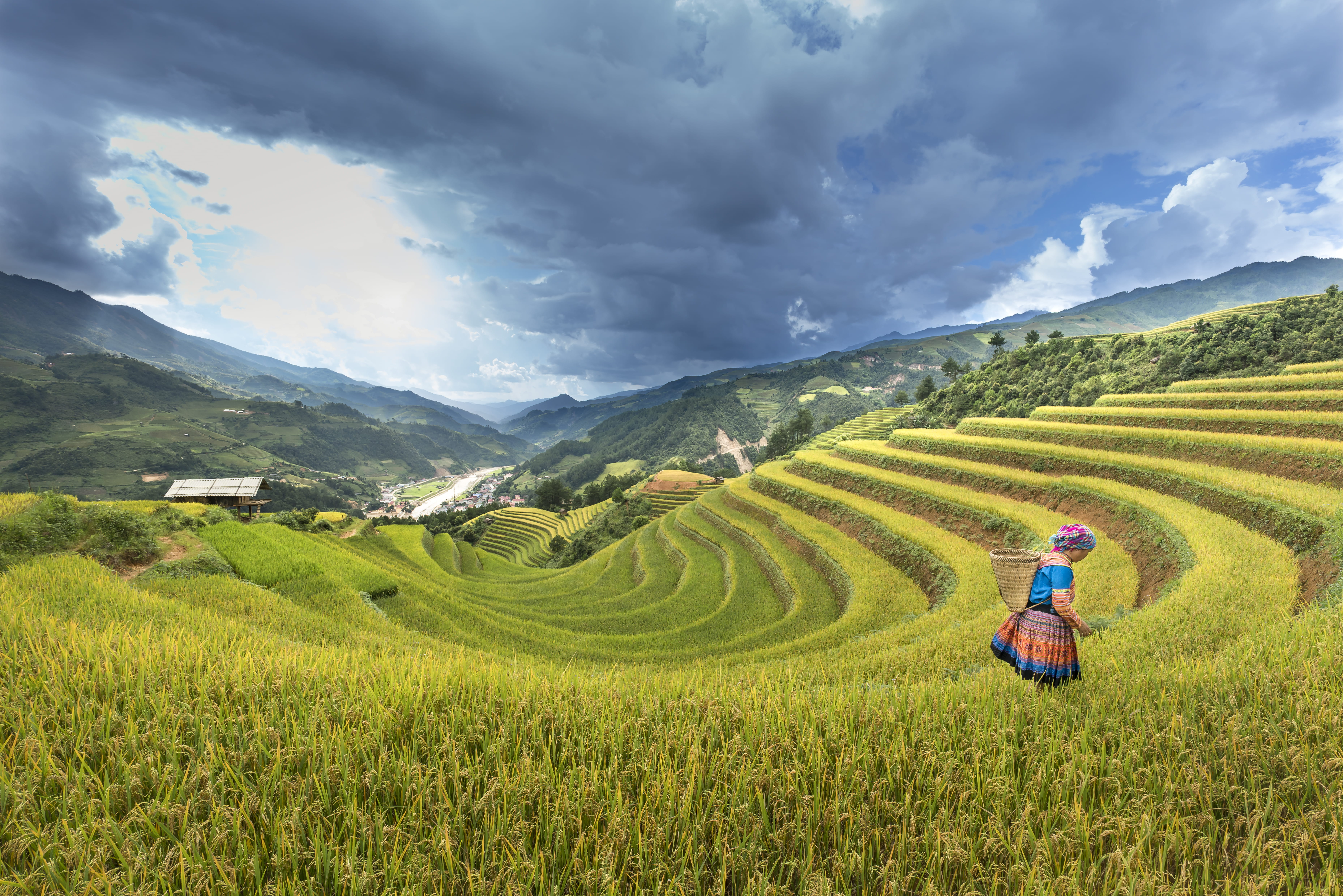 rural scene, grassland, countryside, rice paddy, cloud - sky, farm, rice terraces, green, 5K, grass, landscape, summer, wide angle photography, person, HD Wallpaper