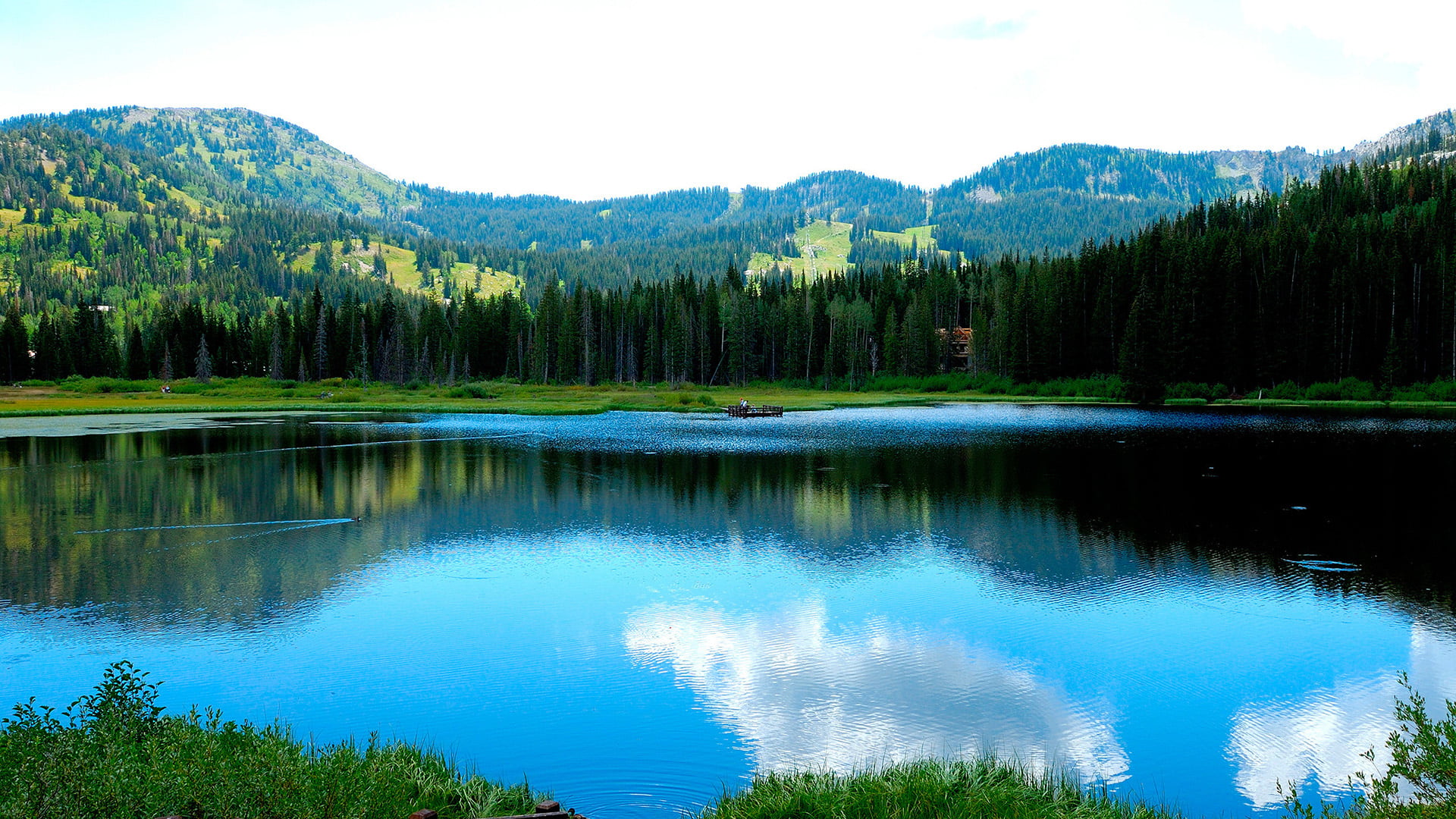 idyllic, plant, serene, reflection lake, scenic, scenics - nature, national, natural, growth, sunny, day, cloud, tranquil scene, forest, stone, sky, trees, HD Wallpaper