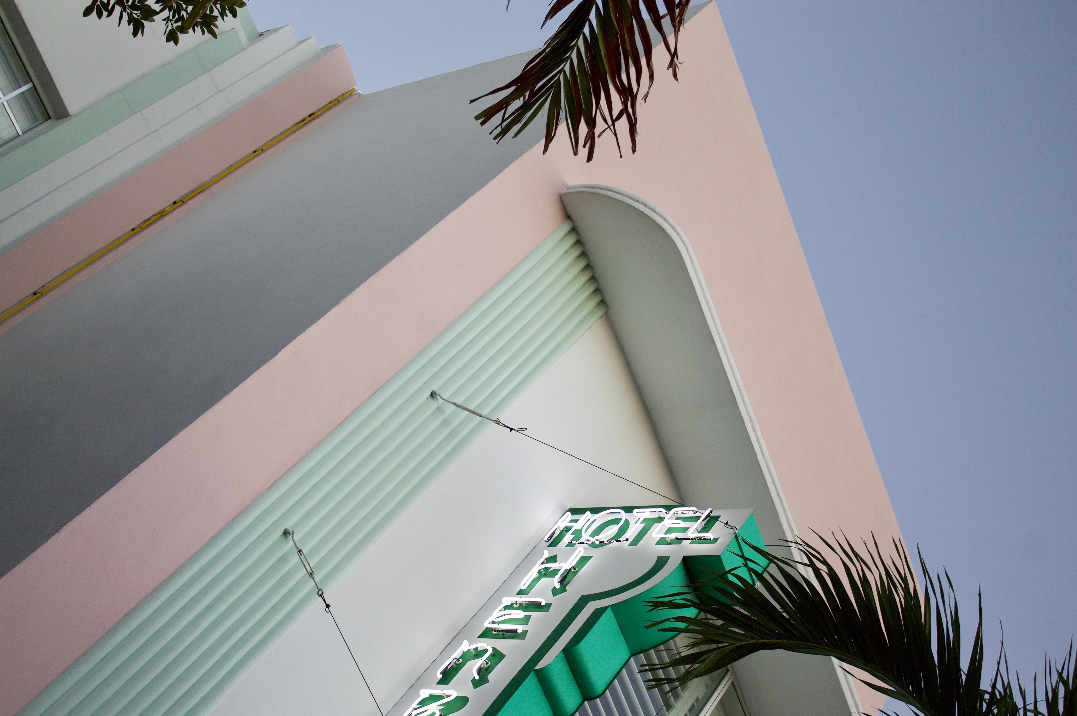 city, tree, sunlight, united states, palm tree, low angle view, architecture, sky, tropical climate, modern, building, 4500 macarthur blvd nw, green color, HD Wallpaper