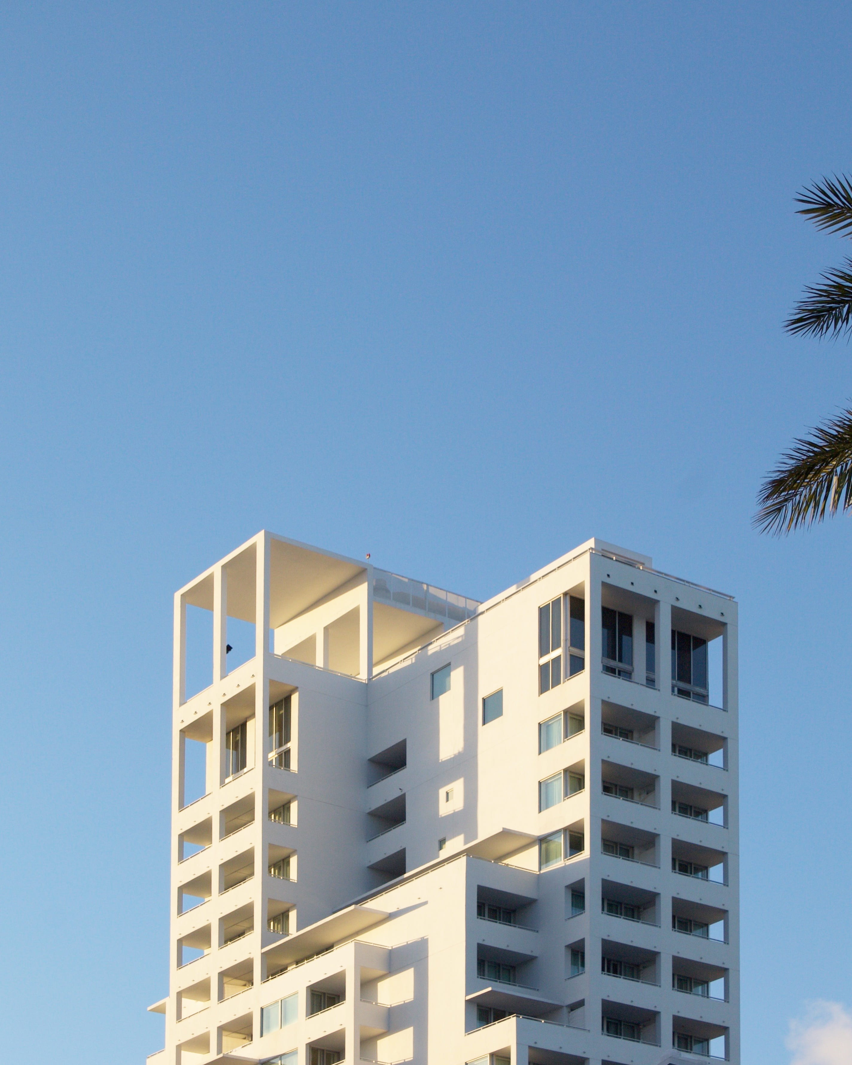 washington, house, building, palm tree, day, clear sky, sky, residential district, sunlight, blue, outdoors, no people, city, office building exterior, Phone HD Wallpaper