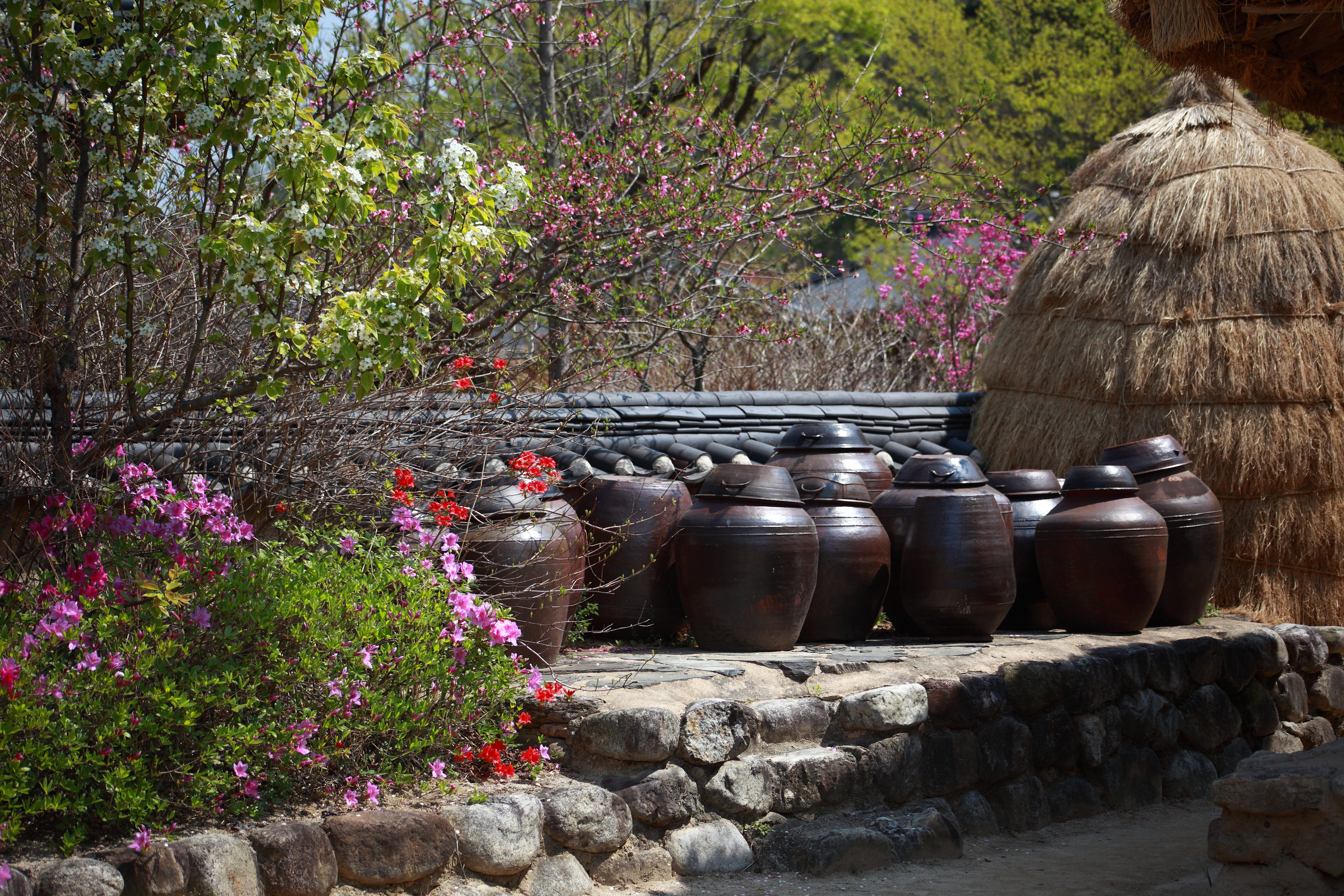 no people, park, park - man made space, decorative urn, chapter reading, container, platform, traditional, flowers, day, art and craft, jars, sunlight, HD Wallpaper