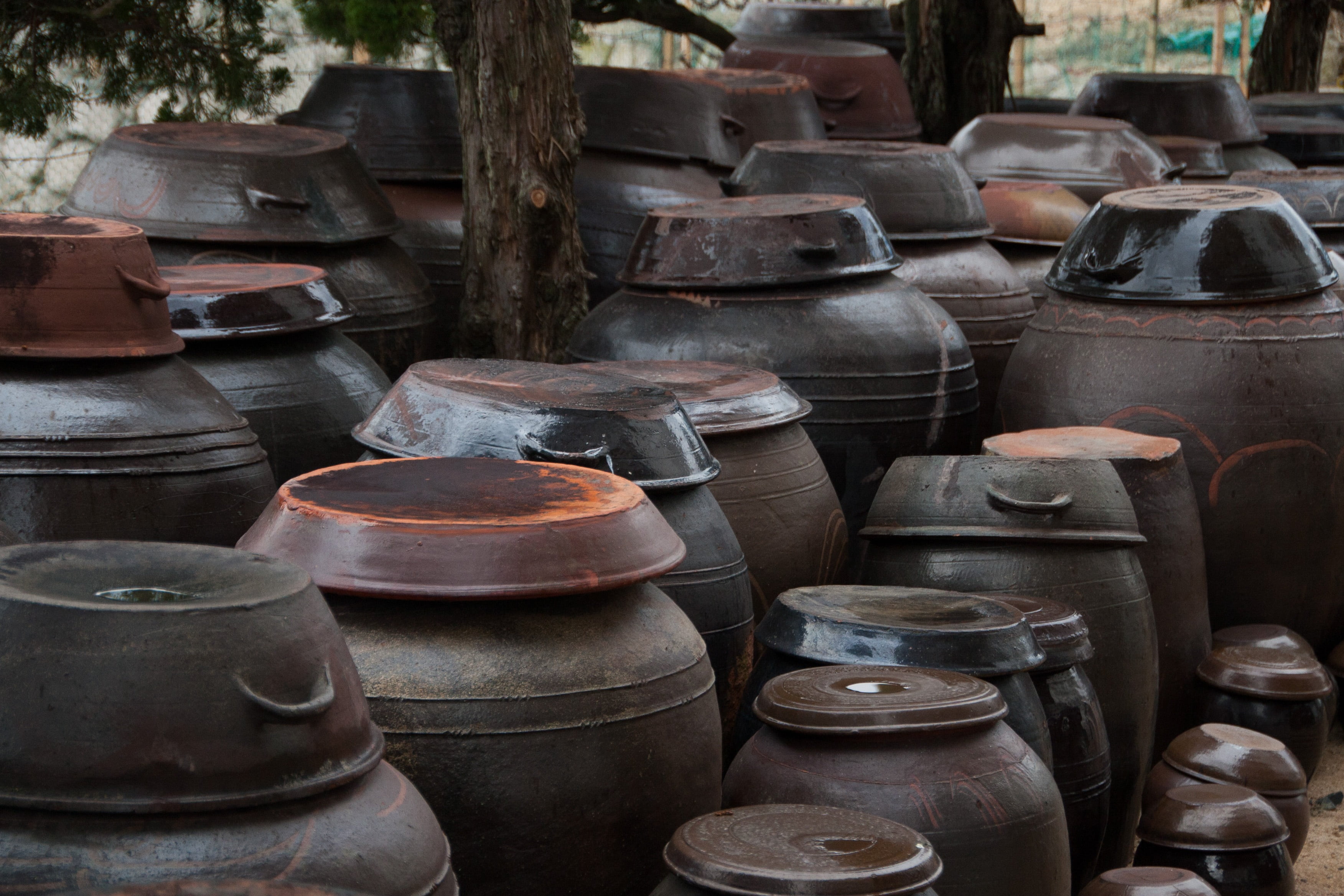 no people, traditional, small business, container, earthenware, chapter reading, fermentation, large group of objects, rural landscape, variation, day, HD Wallpaper