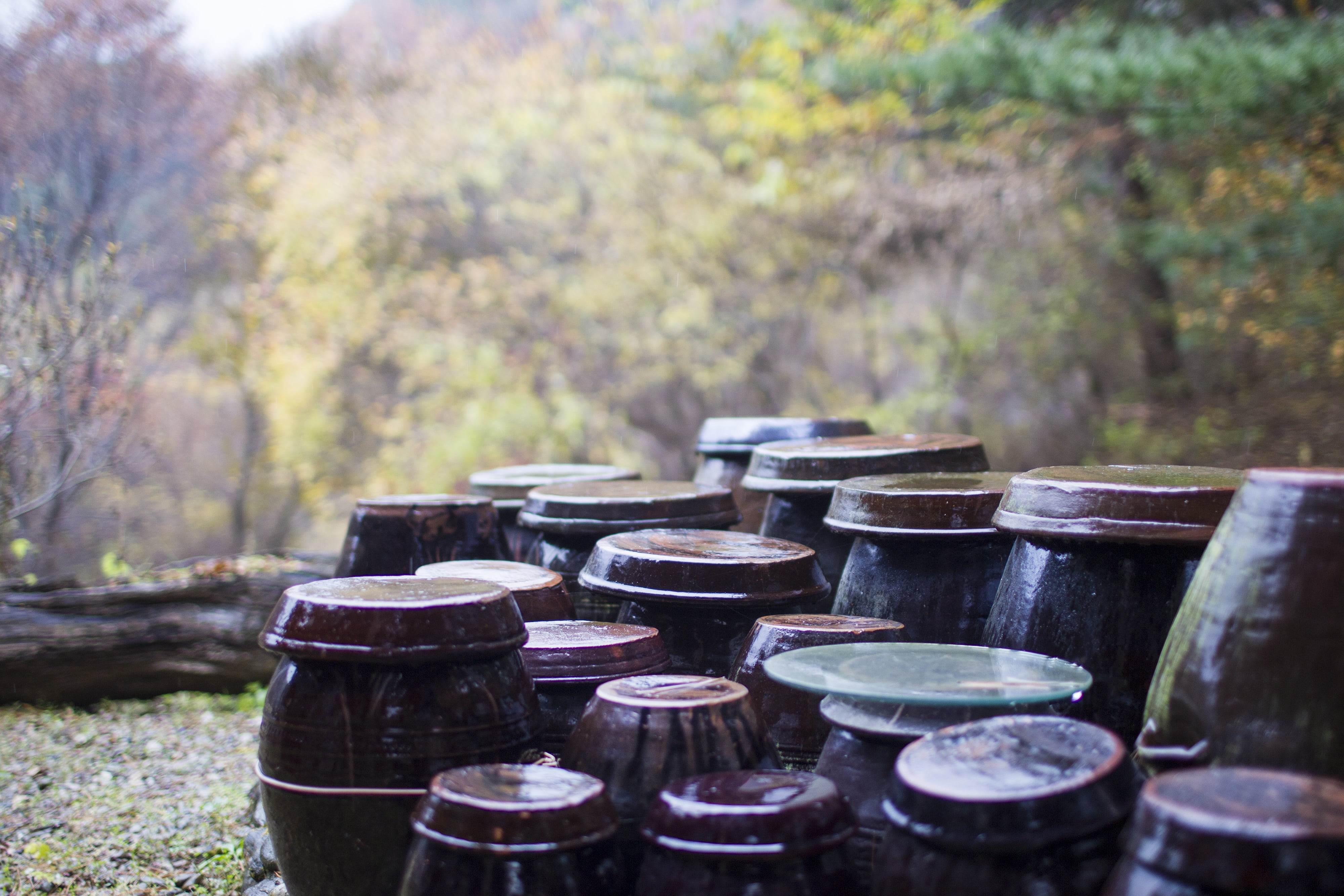 ceramic, landscape, metal, jar, 4K, rural landscape, storage, outdoors, focus on foreground, group of objects, chapter dogdae, container, land, nature, HD Wallpaper