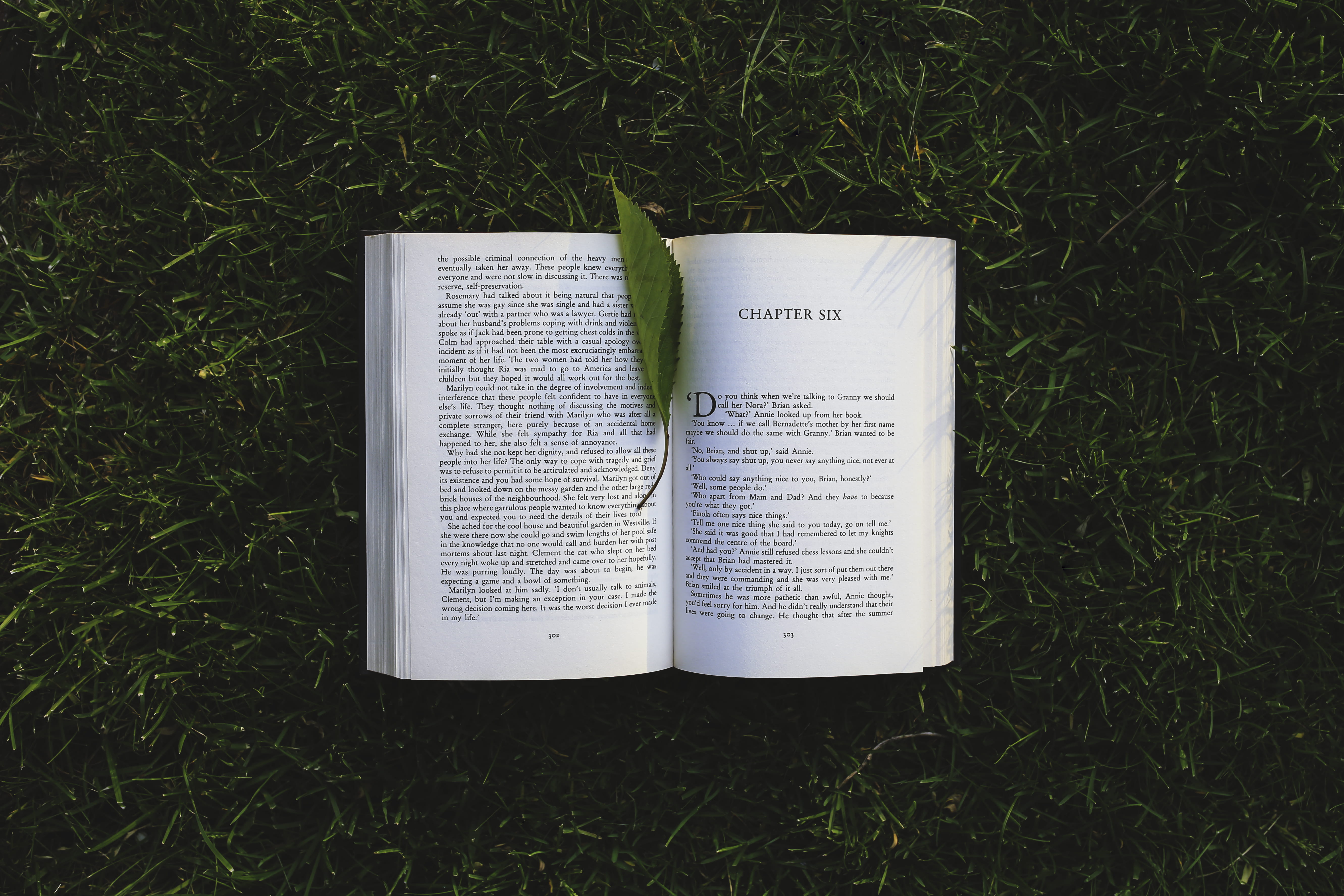 day, six, no people, publication, nature, environment, grass, pages, open, plant, chapter, read, lawn, land, communication, dawn, flora, tree, high angle view, HD Wallpaper
