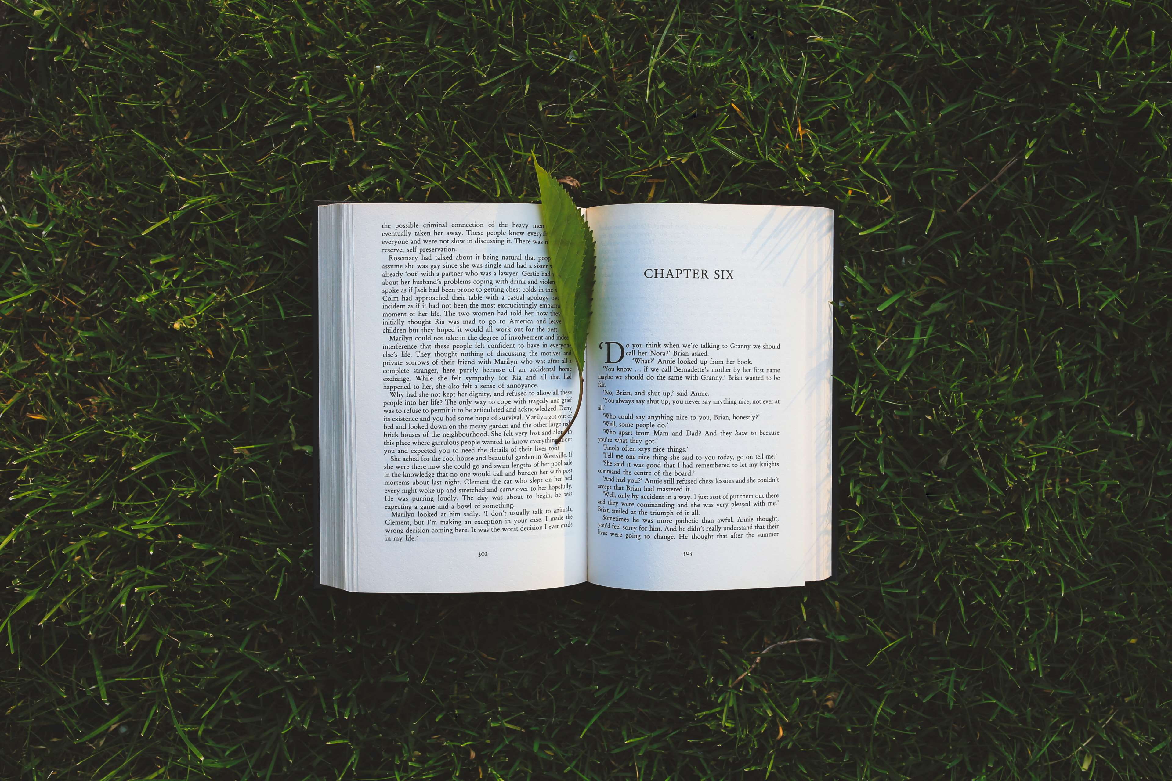 grass, field, lawn, day, environment, plant, tree, high angle view, read, western script, book, land, book pages, no people, reading, dawn, text, directly above, HD Wallpaper