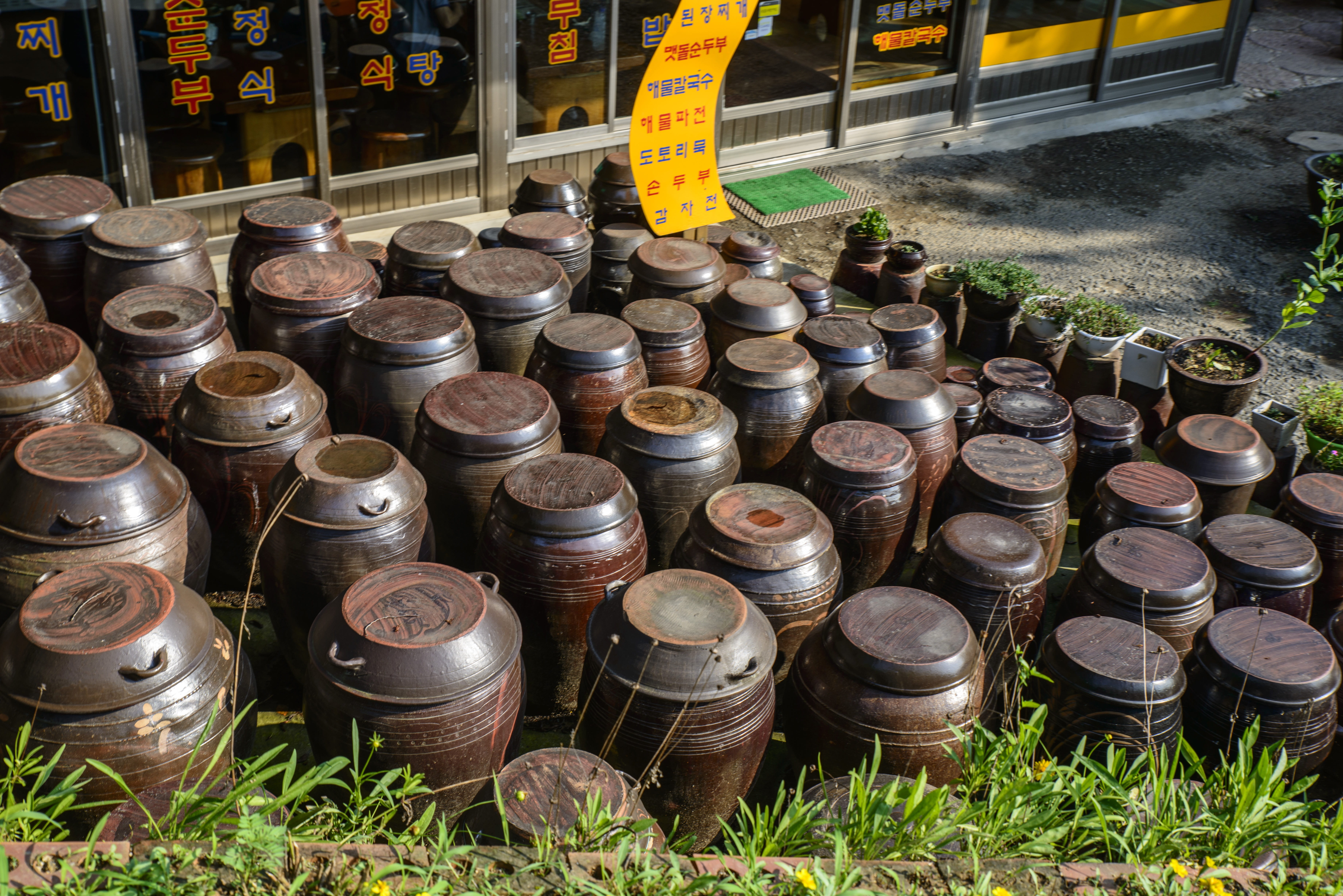 large group of objects, chapter dogdae, order, chapter reading, choice, nature, container, outdoors, side by side, rural landscape, day, in a row, traditional, HD Wallpaper