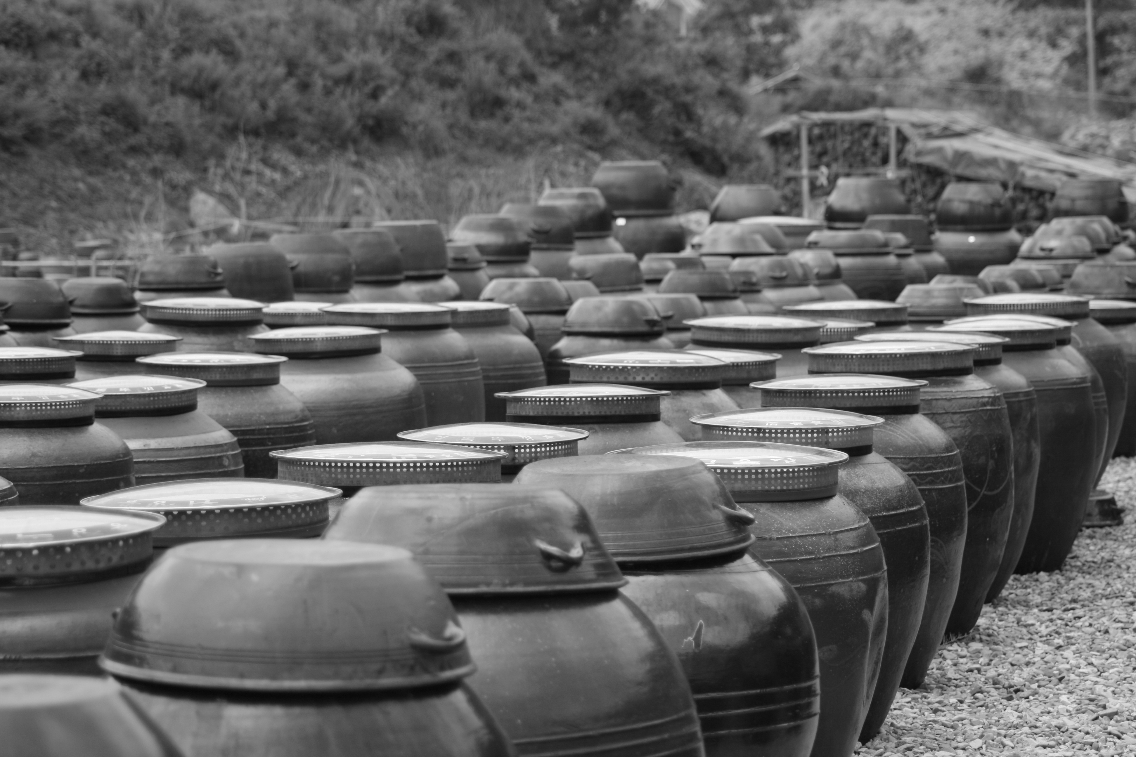 repetition, plant, abundance, photography, for sale, earthenware, chapter reading, order, stack, large group of objects, side by side, in a row, art and craft, HD Wallpaper