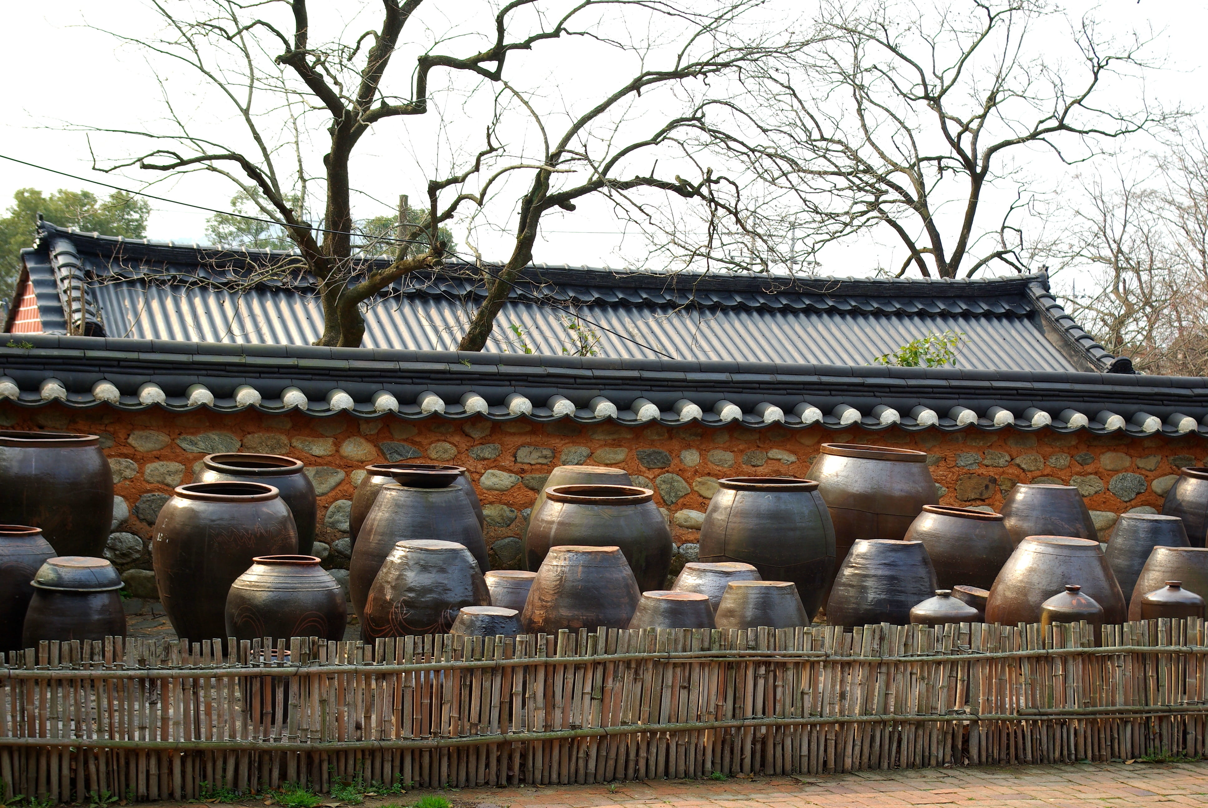nature, korea, tree, 4K, branch, architecture, roof, outdoors, chapter reading, building exterior, wood, place of worship, balustrade, culture, traditional, HD Wallpaper