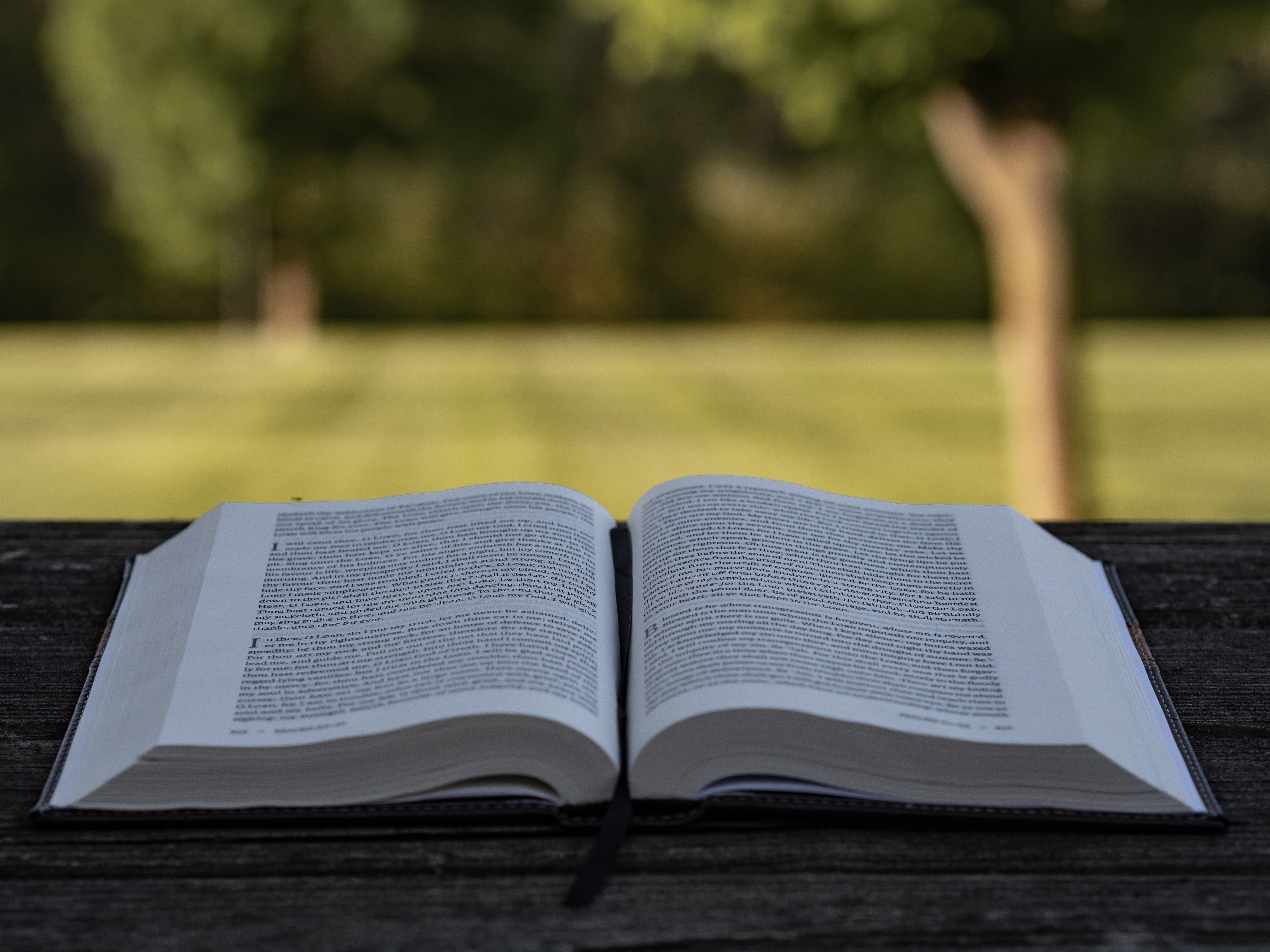 wood - material, outdoor, book, daytime, publication, religion, park, people, wooden, desk, day, activity, spiritual, surface, reading, wood, park - man made space, HD Wallpaper