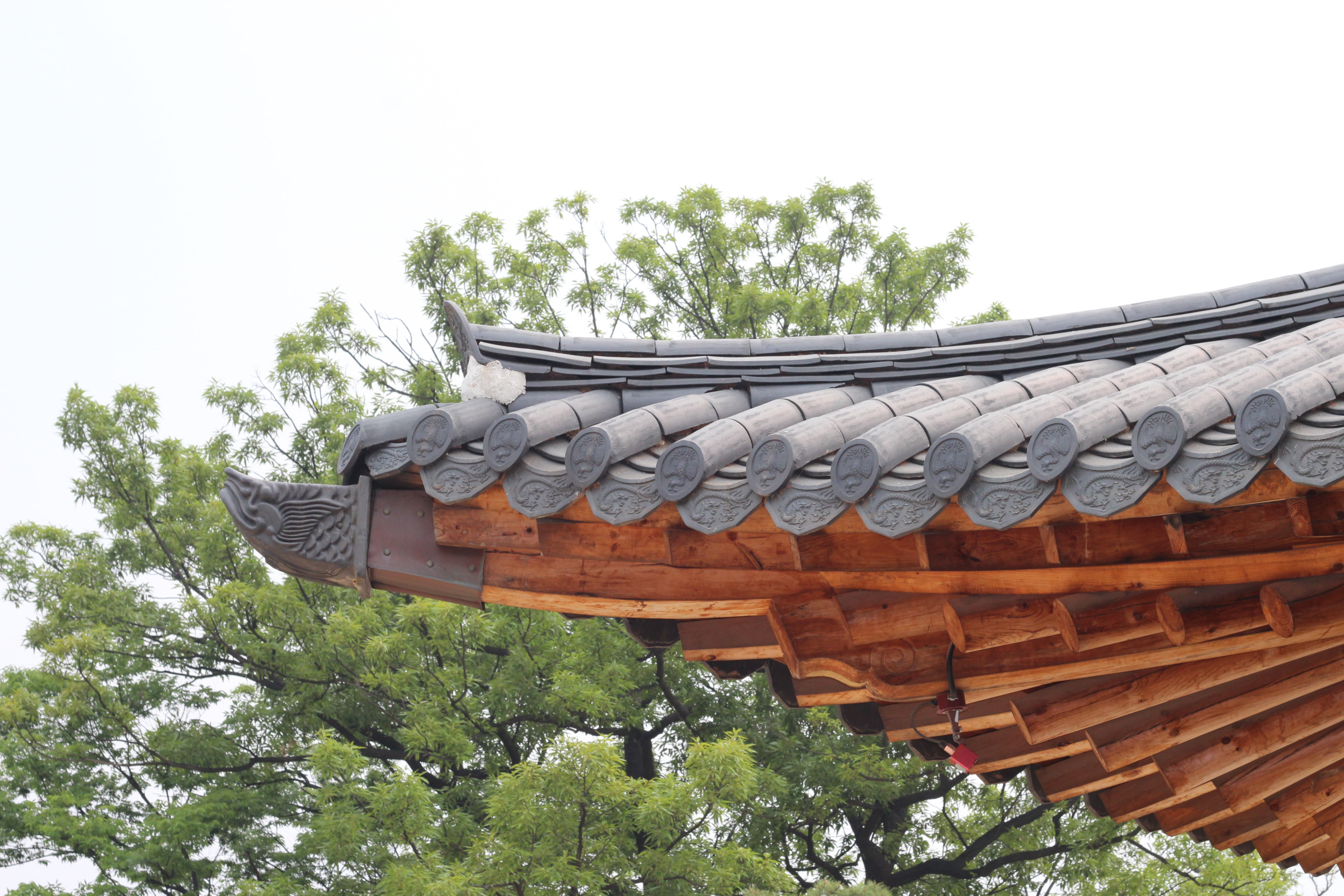 plant, the past, cultural property, republic of korea, landscape, building exterior, korea, tree, nature, no people, 5K, growth, glyph, built structure, HD Wallpaper