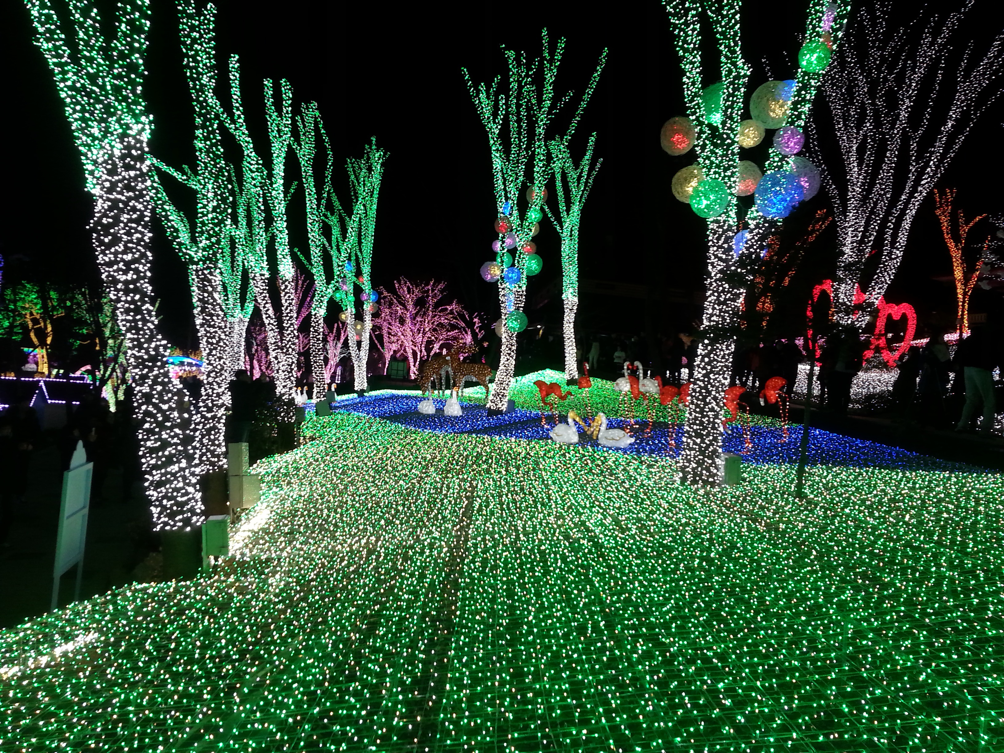 party, park - man made space, wood, 2K, nature, festival, holiday, outdoors, lighting equipment, plant, no people, green color, decoration, illuminated, HD Wallpaper