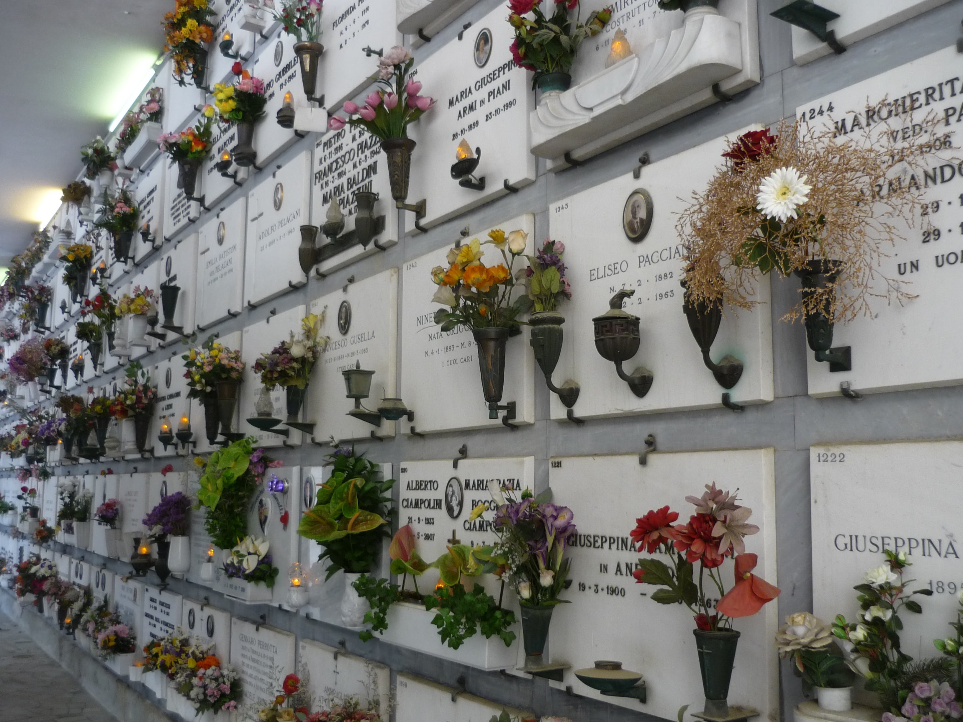 potted plant, grave, architecture, built structure, day, plant, arrangement, retail, florence, for sale, in a row, flowering plant, urn tombs, nature, communication, HD Wallpaper