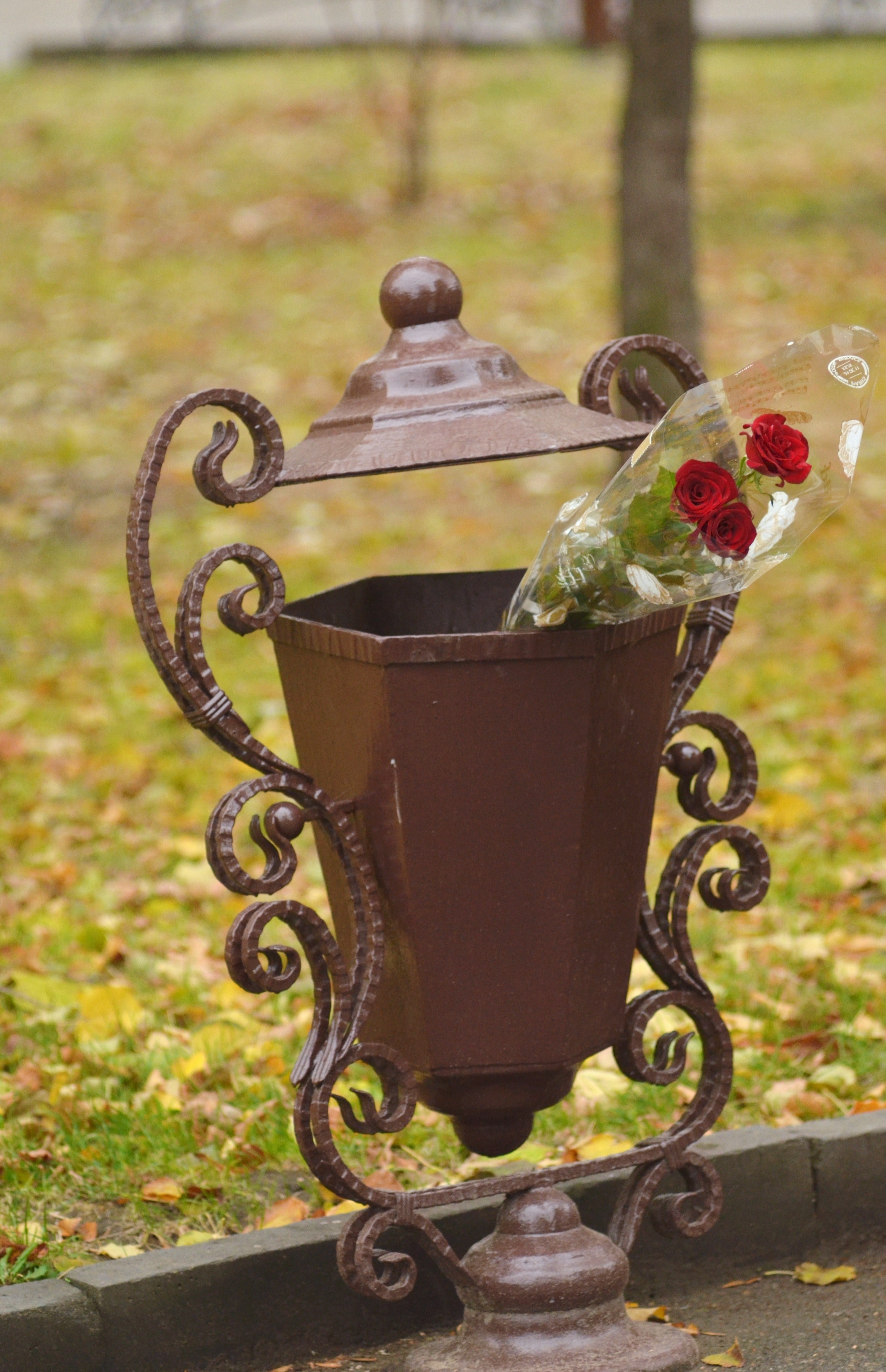 nature, plant, focus on foreground, flower, container, sunlight, old, outdoors, grass, flowers in an urn, flowering plant, roses, day, did not come, no people, Phone HD Wallpaper