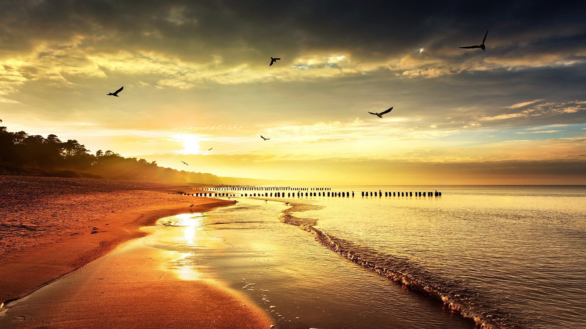 beach, sunset, 1080P, sea, horizon, waves, sea gulls, HD Wallpaper