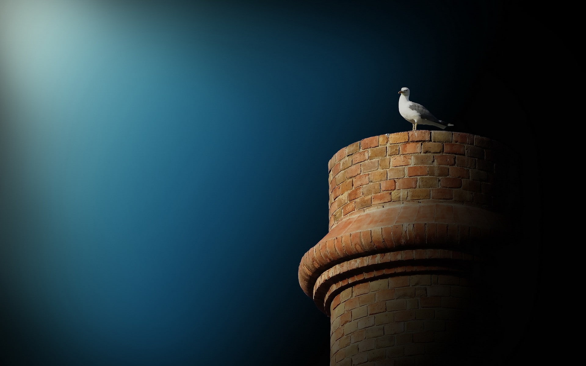blue, one animal, built structure, nature, 1080P, animal themes, perching, clear sky, copy space, wall, no people, animals in the wild, architecture, sea gulls, HD Wallpaper