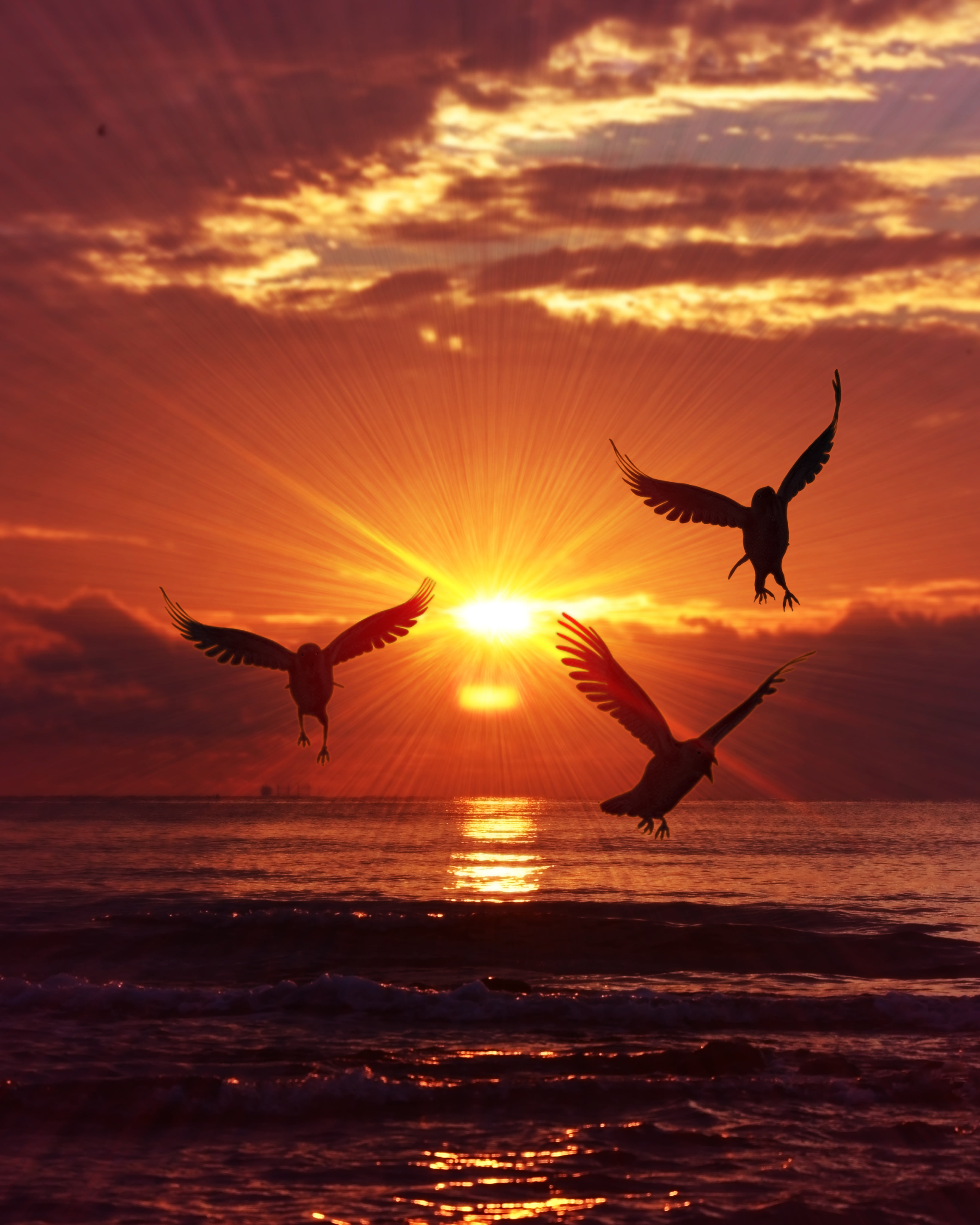 freedom, seagull, back Lit, beauty In Nature, sunrise - Dawn, vertebrate, birds, backgrounds, sunrise, tranquil Scene, animal Wing, wildlife, silhouettes, Phone HD Wallpaper