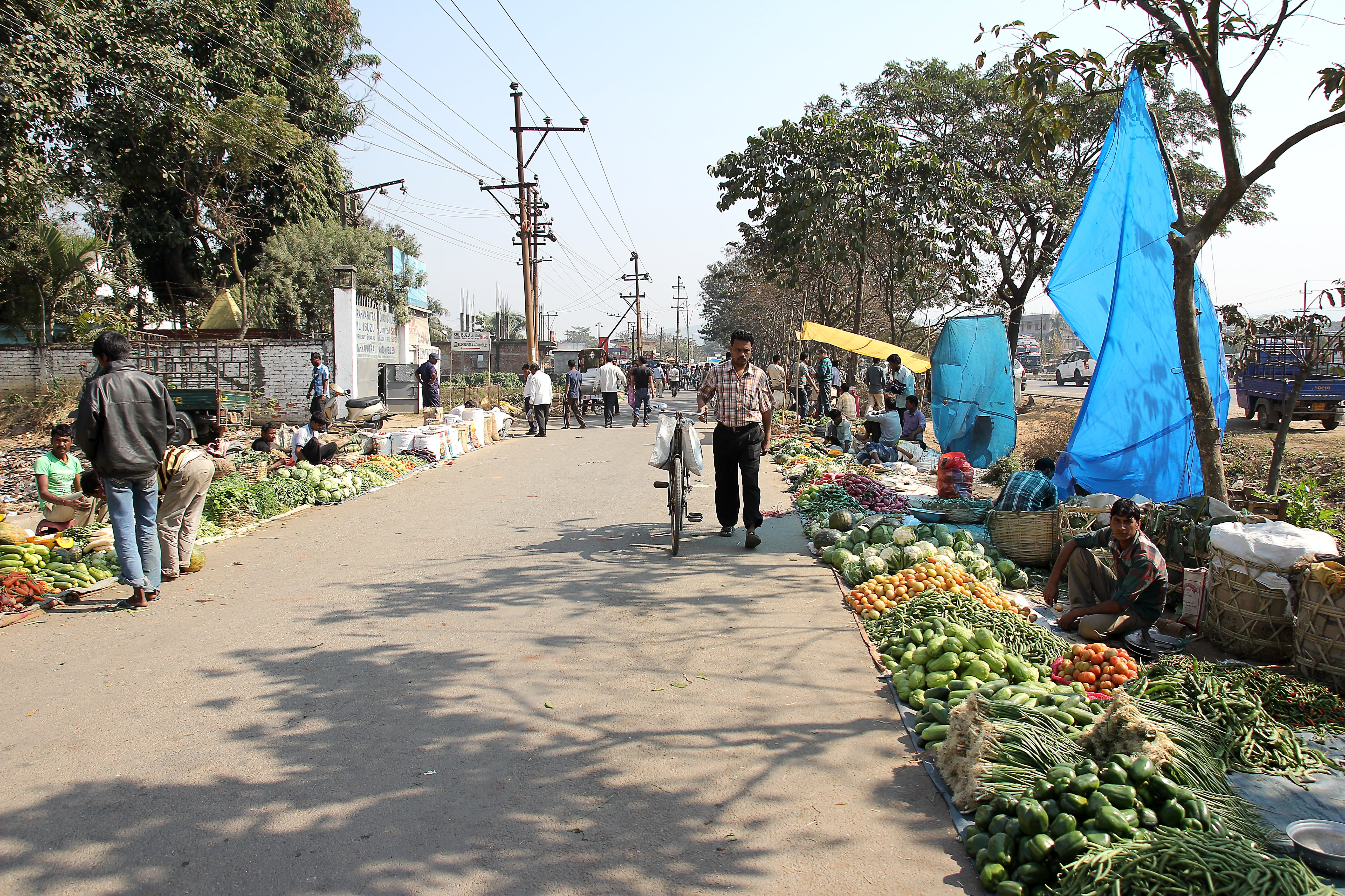 traditional, fresh, retail, 5K, plant, selling, food and drink, transportation, product, sunlight, group of people, adult, village market, vegetable, nature, HD Wallpaper
