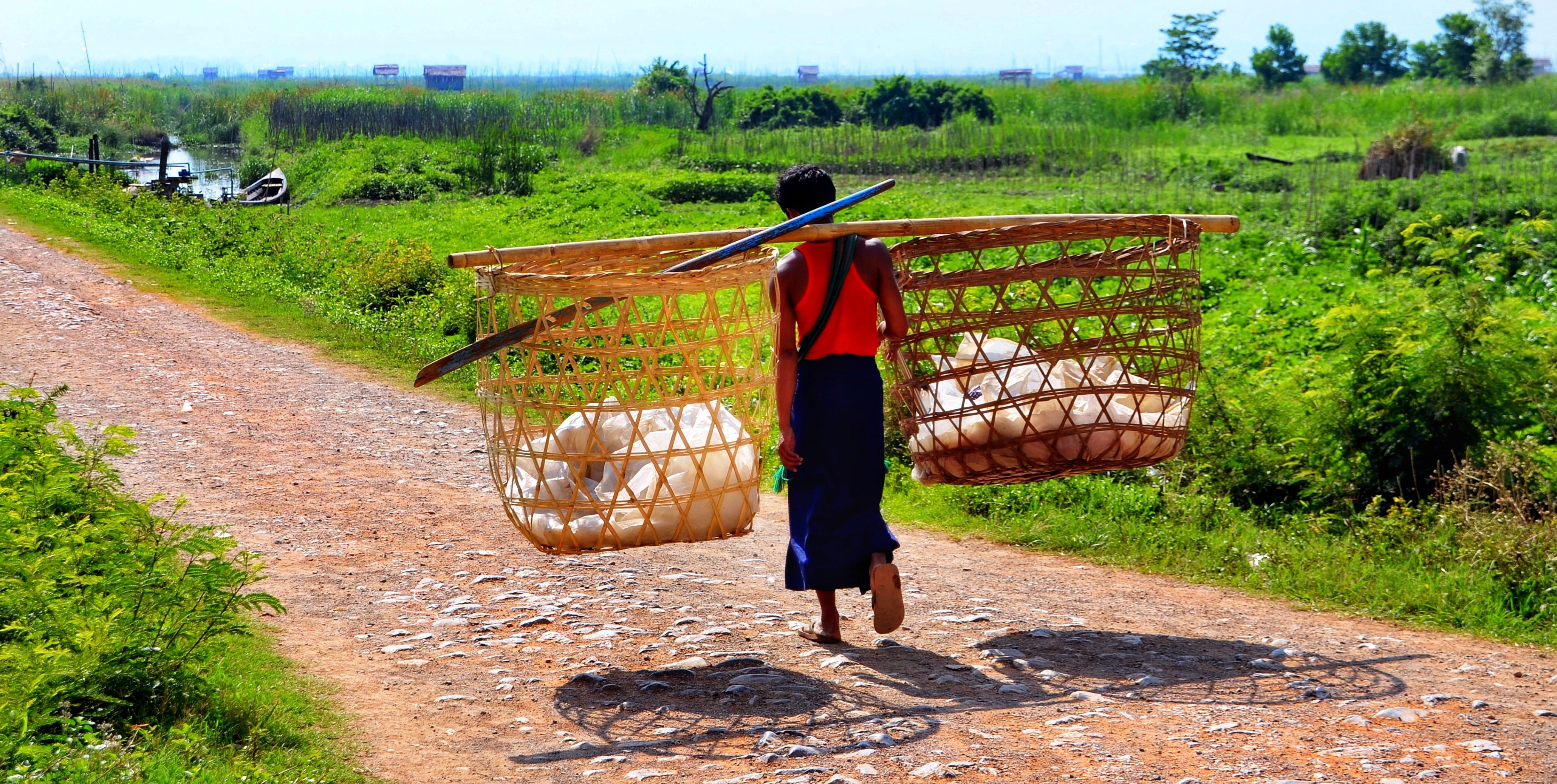 market, day, full length, lake, inle, transportation, 4K, green color, burmese, home, occupation, going, carrying, plant, rear view, casual clothing, boat, HD Wallpaper