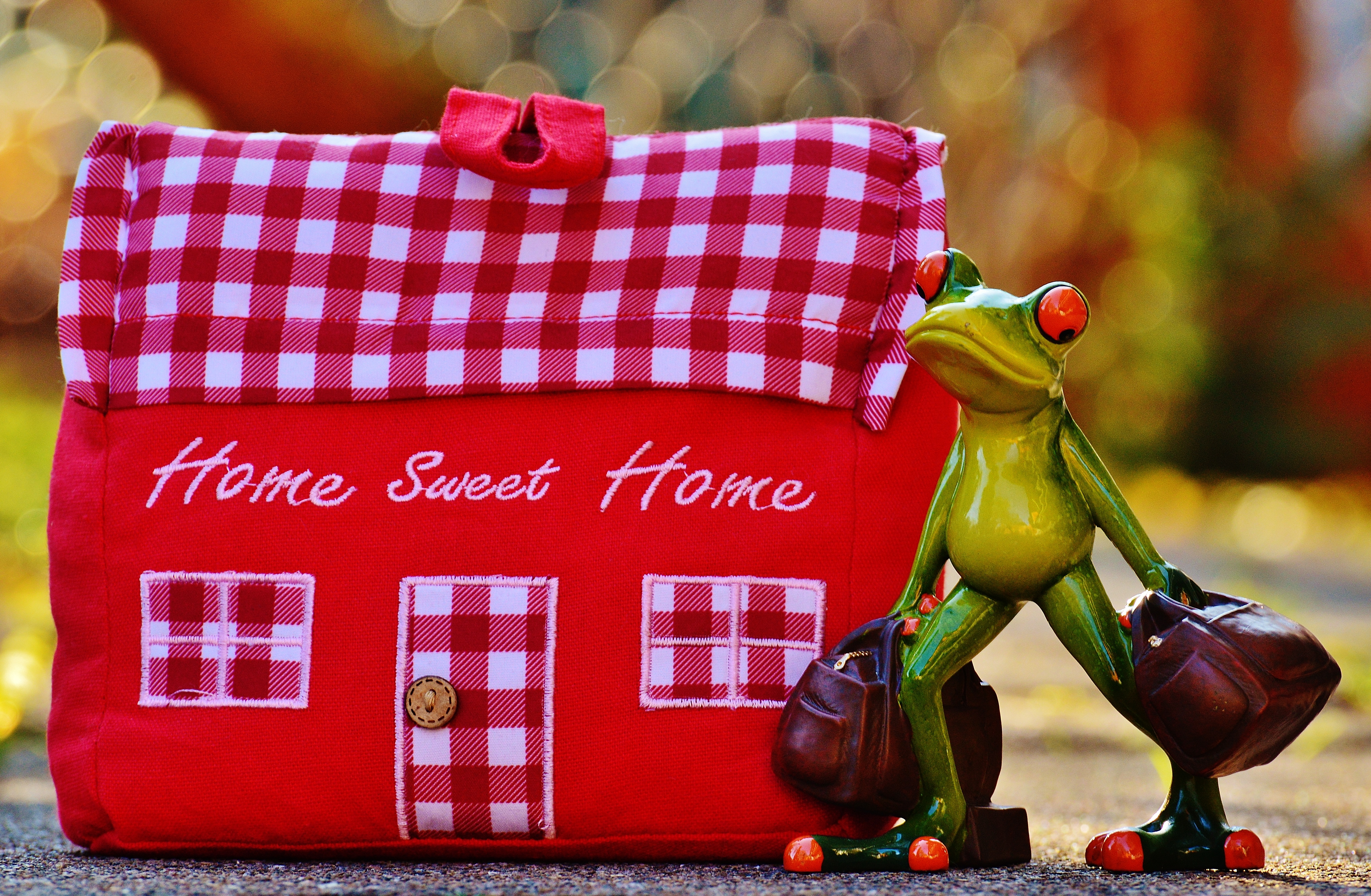 trolley, text, tissue, 5K, figurine, focus on foreground, close-up, container, art and craft, home, still life, funny, indoors, frog, arrive, travel, red, HD Wallpaper