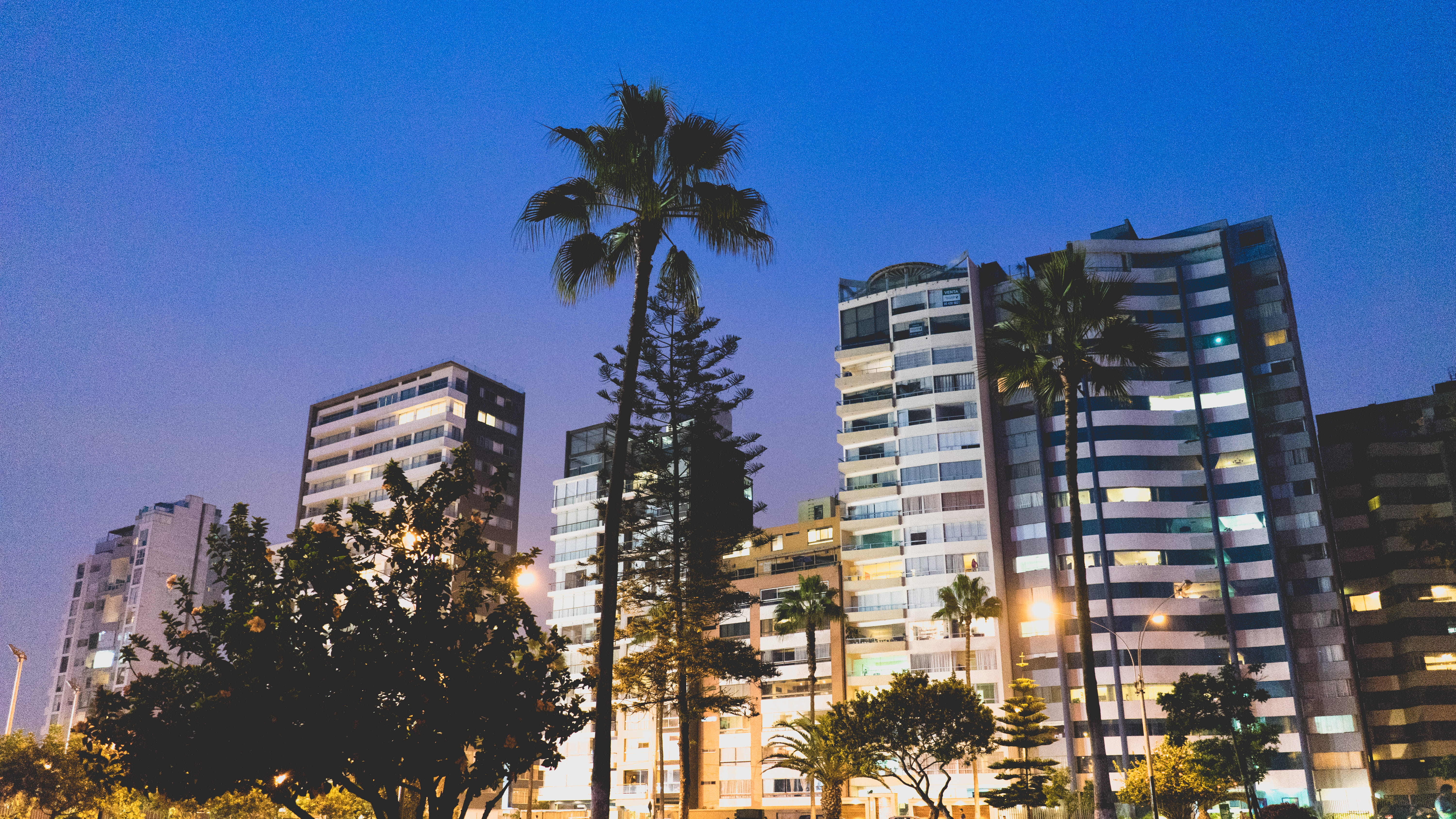 sky, miraflores, low angle view, illuminated, apartment, no people, city, palm tree, lima, building, dusk, blue, building exterior, office building exterior, HD Wallpaper