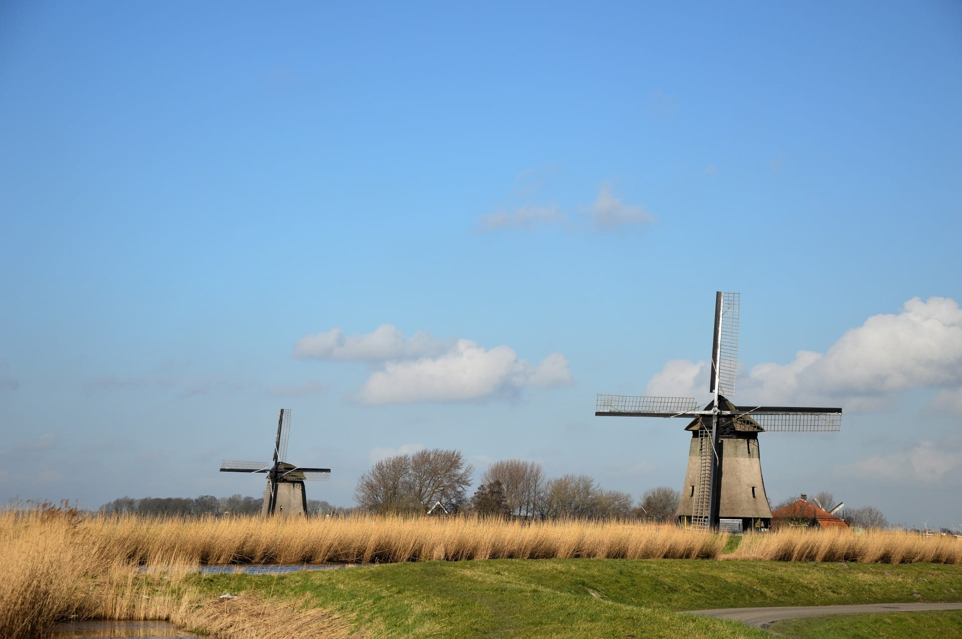 outdoors, turbine, plant, environmental, clean, ranch, generation, no people, development, traditional windmill, energy, fuel and power generation, mills, HD Wallpaper
