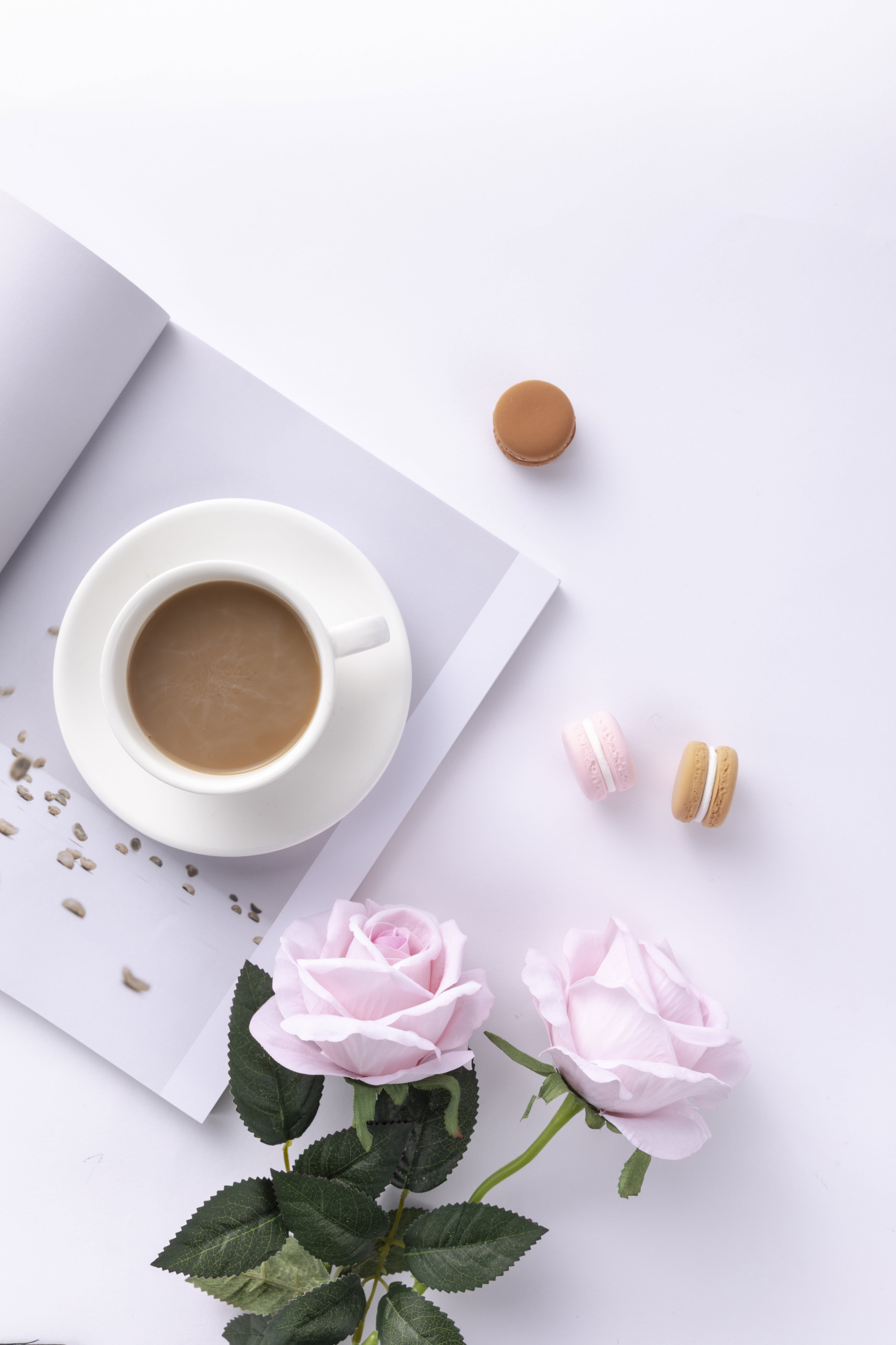 flowers, coffee cup, coffee, white, book cover, Macarons, 5K, Phone HD Wallpaper