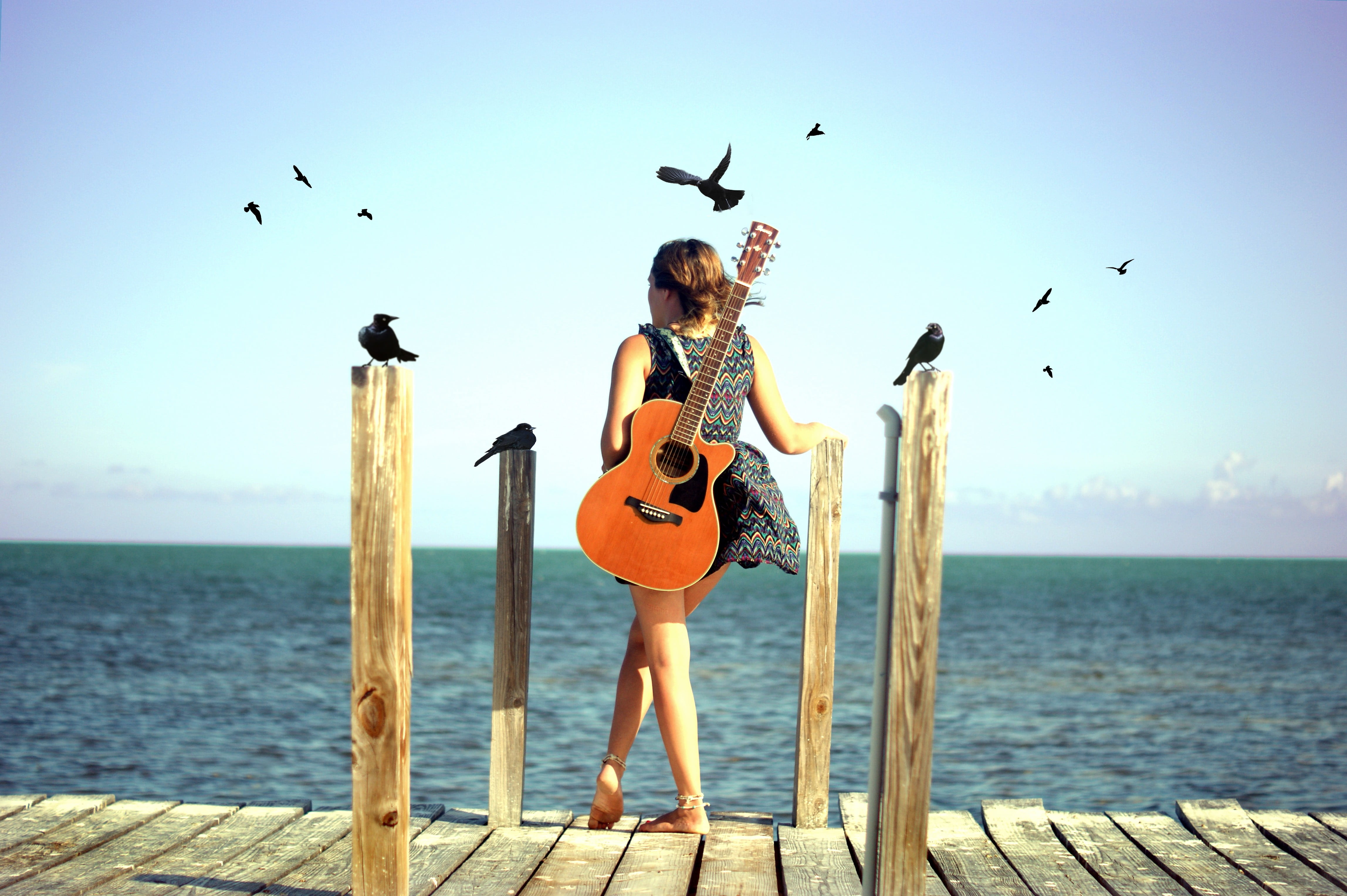 women, guitar, bird, animal, animals in the wild, seagull, musical instrument, one person, sky, water, flying, animal themes, flock of birds, real people, HD Wallpaper