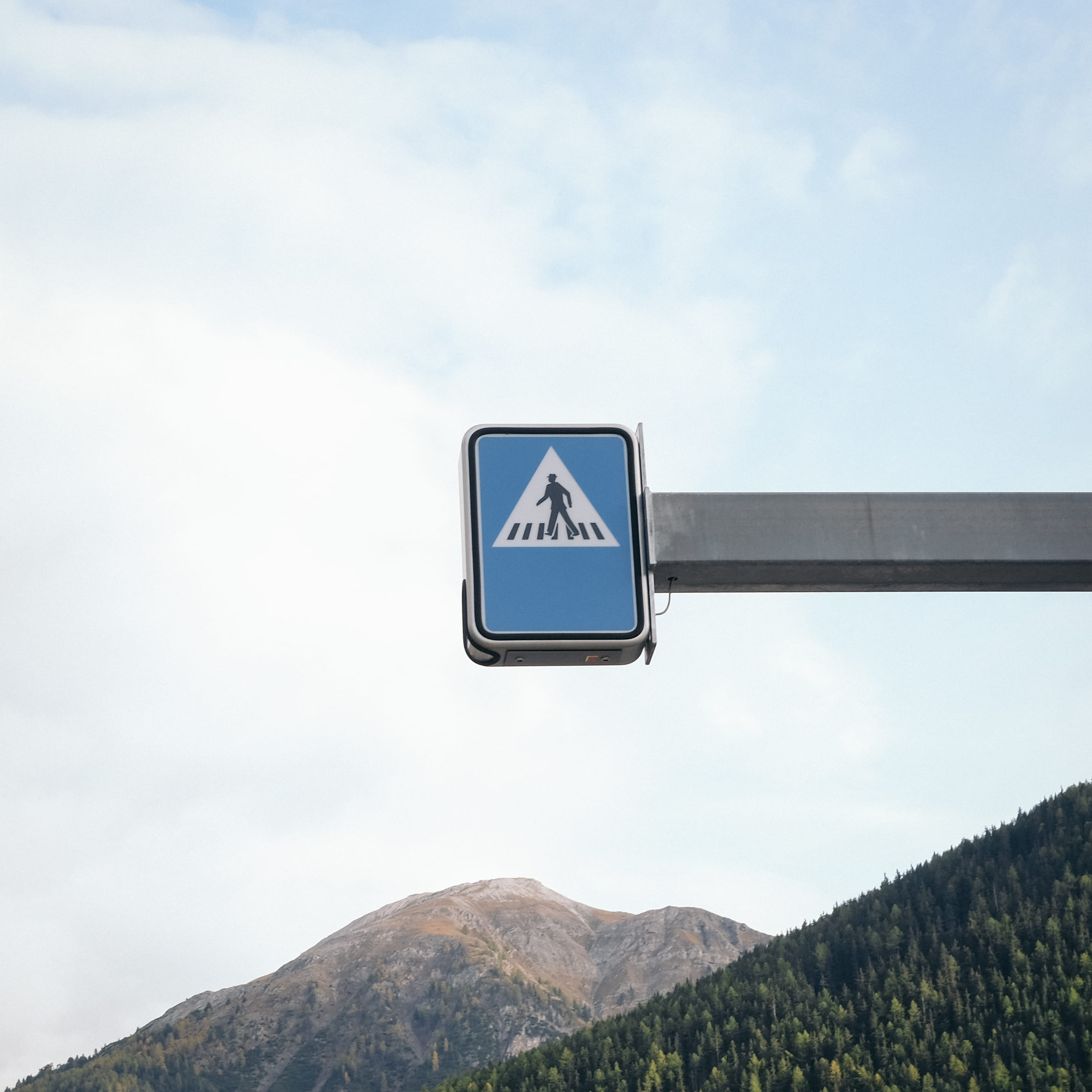 day, 2K, beauty in nature, communication, direction, outdoors, low angle view, woodland, sign, symbol, crossing, plant, pavement, zebra, guidance, tree, Phone HD Wallpaper