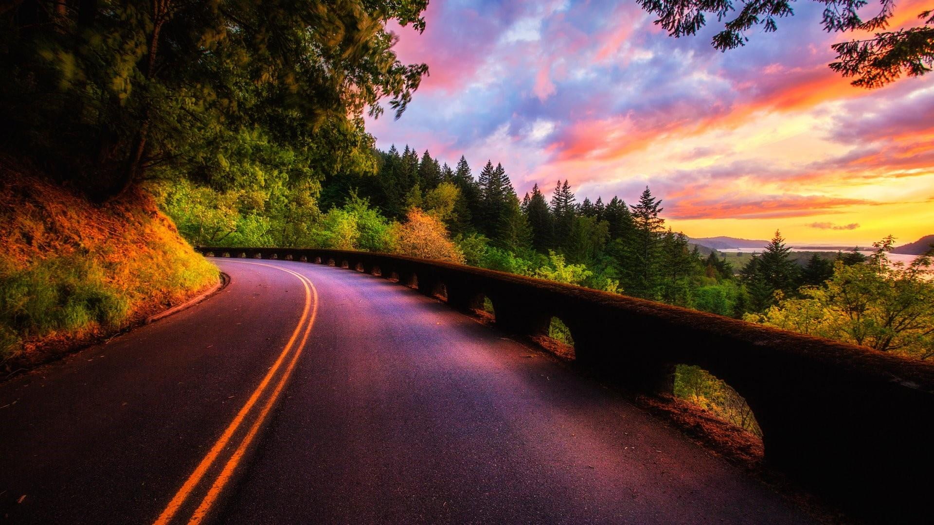 1080P, sunset, road, forest, way, nature, HD Wallpaper