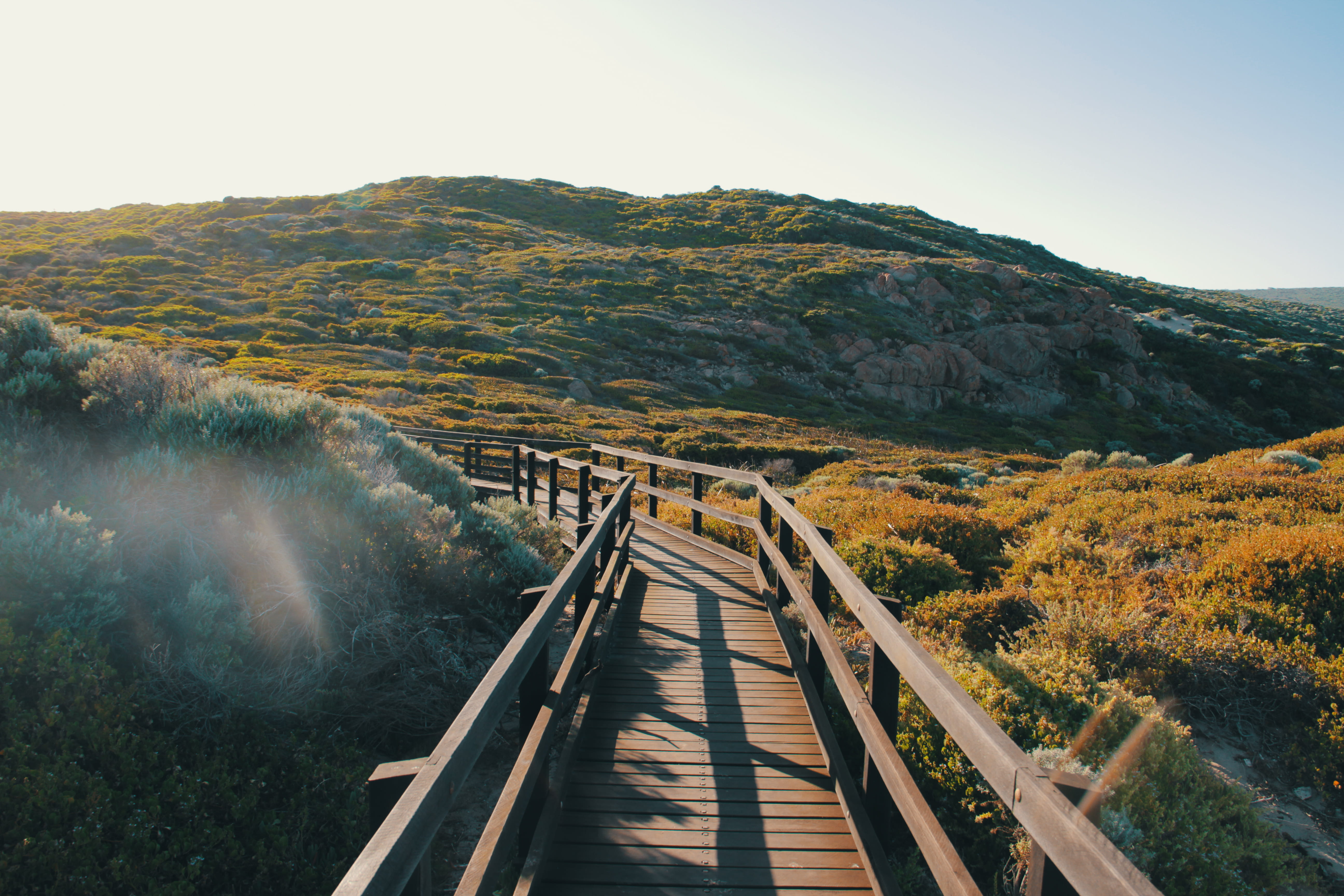 coastal, environment, day, railing, outdoors, beach, tree, bush, wood - material, margaret river, the way forward, tranquil scene, nature, tranquility, HD Wallpaper
