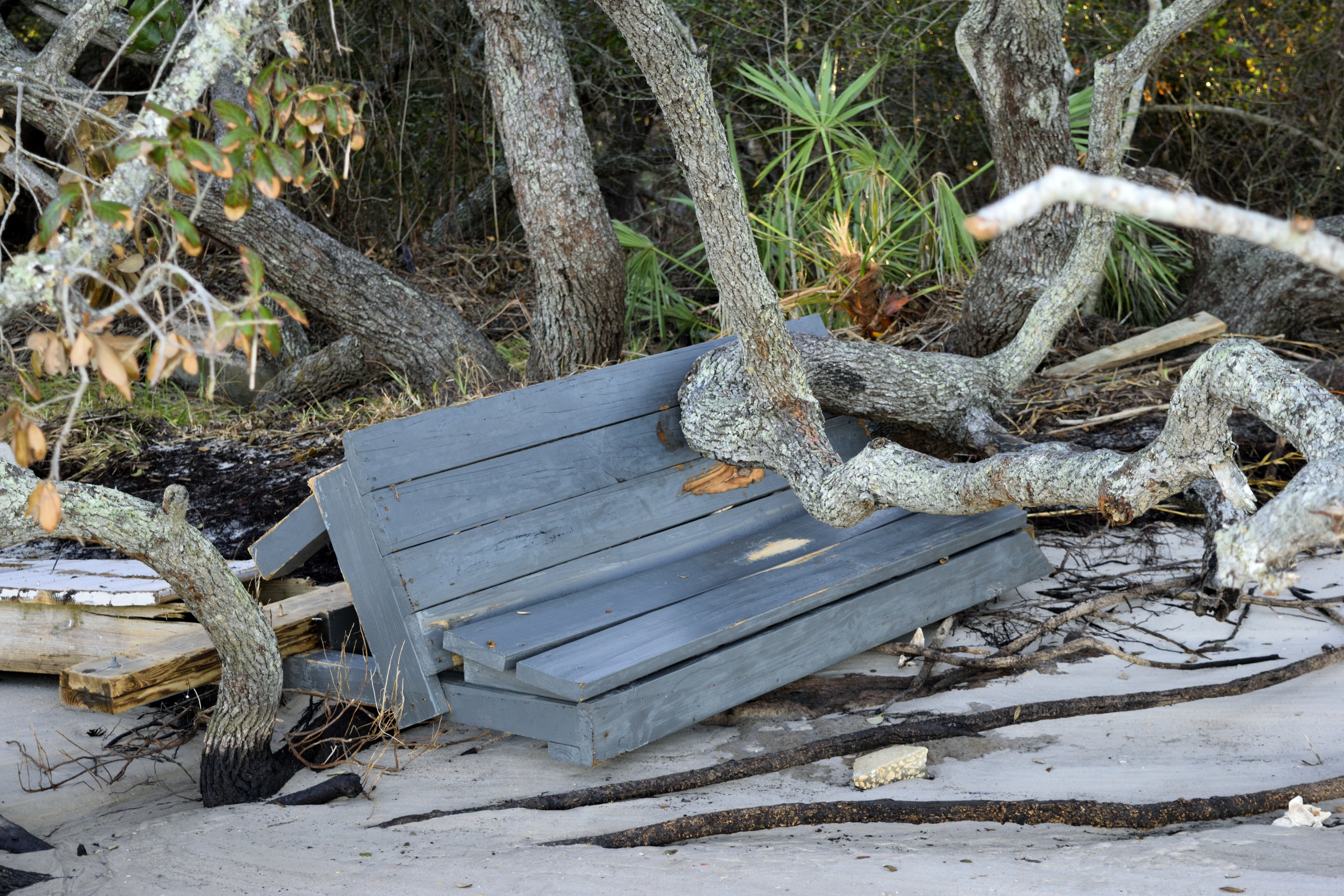coastline, plant, field, weather, abandoned, trunk, bench, usa, pier, day, damage, wind, growth, coastal, nature, hurricane, dock, wood - material, danger, HD Wallpaper