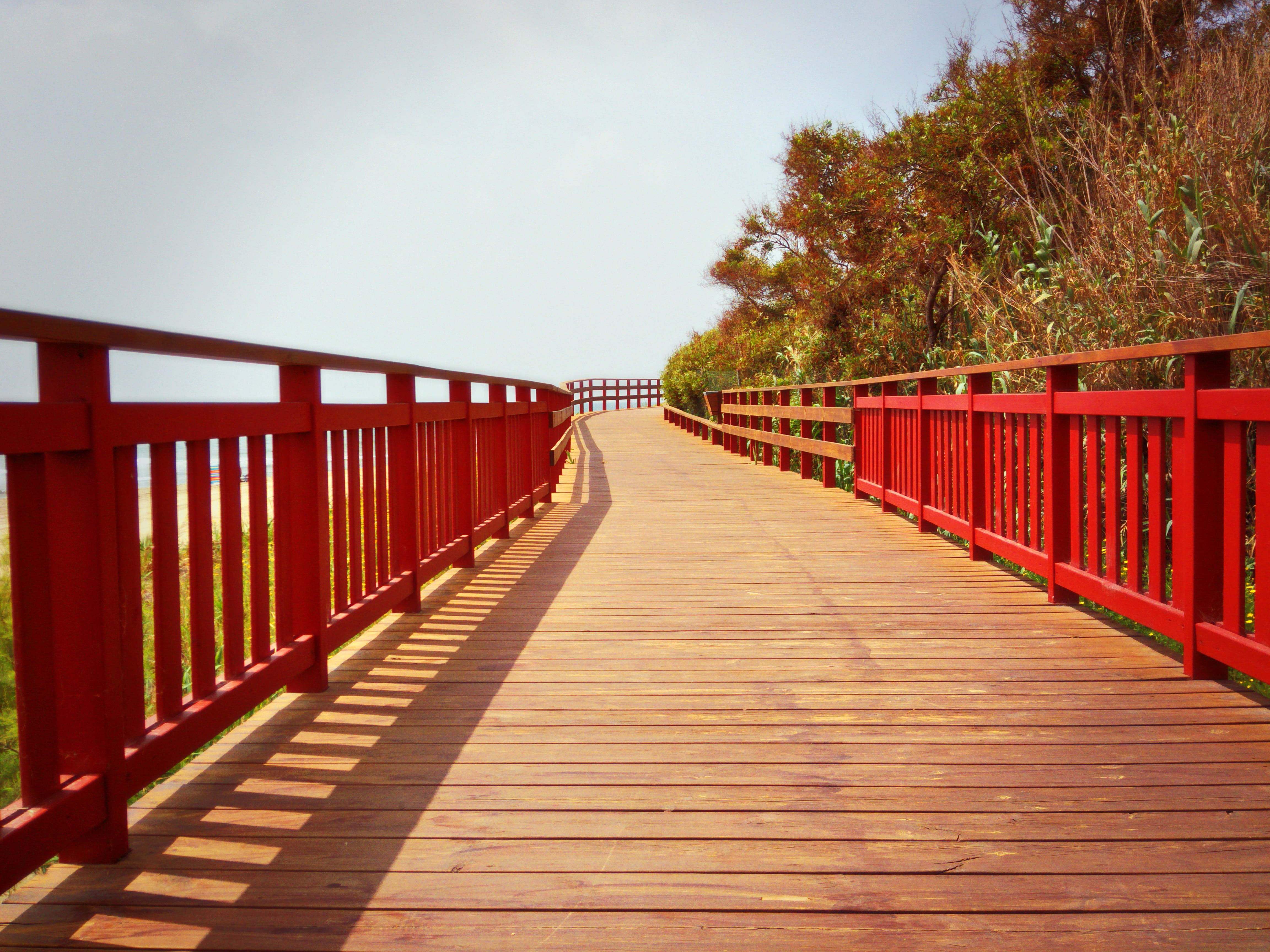 summer, plant, direction, pier, red, bridge - man made structure, architecture, built structure, scenic, day, landscape, connection, wood, wood - material, HD Wallpaper