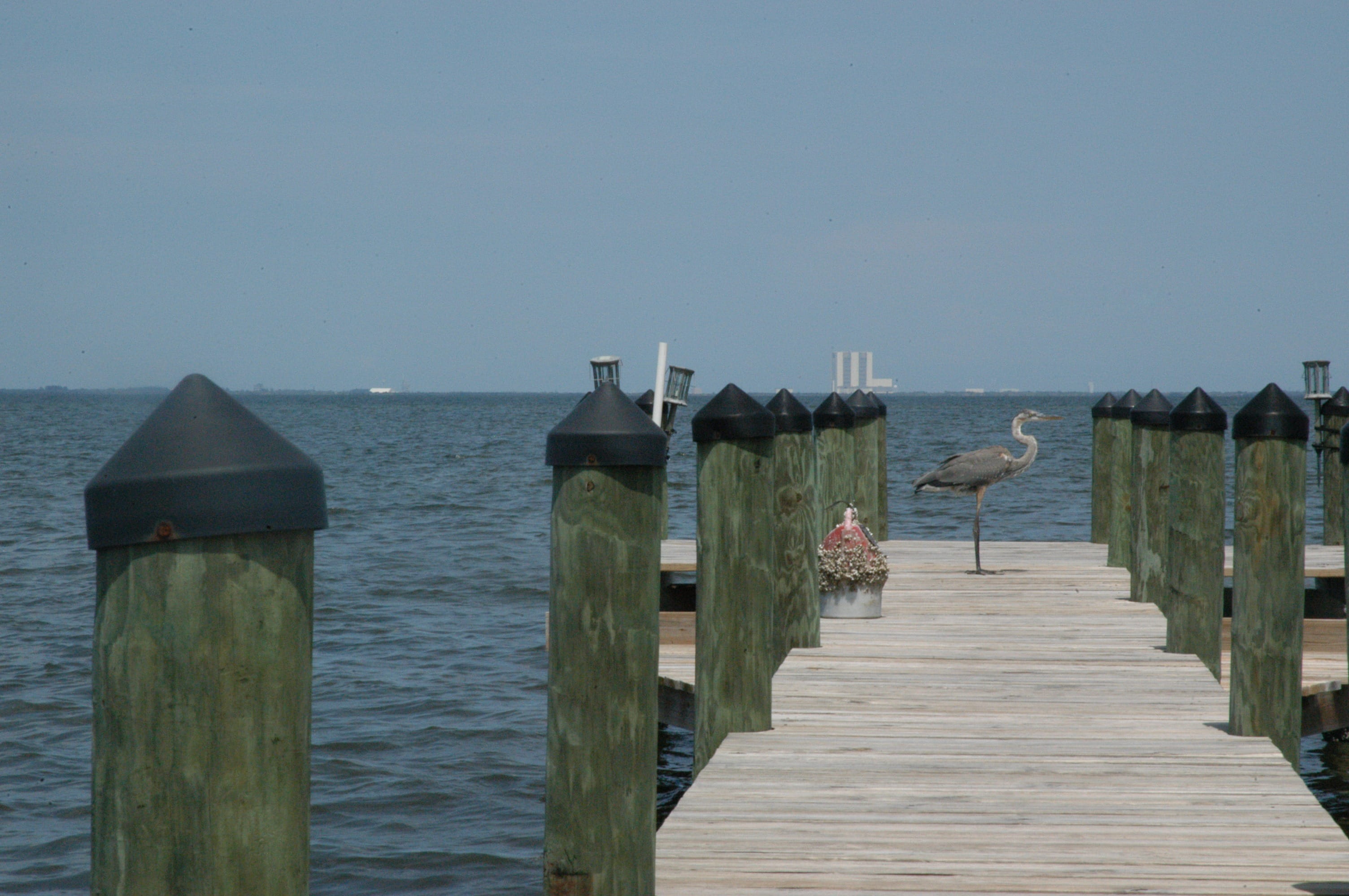 Dock, Bay, sky, deck, seaport, waterfront, bird, seabird, jetty, the way forward, clear sky, waterfowl, tranquil scene, nature, 2K, water, marine, outdoors, HD Wallpaper