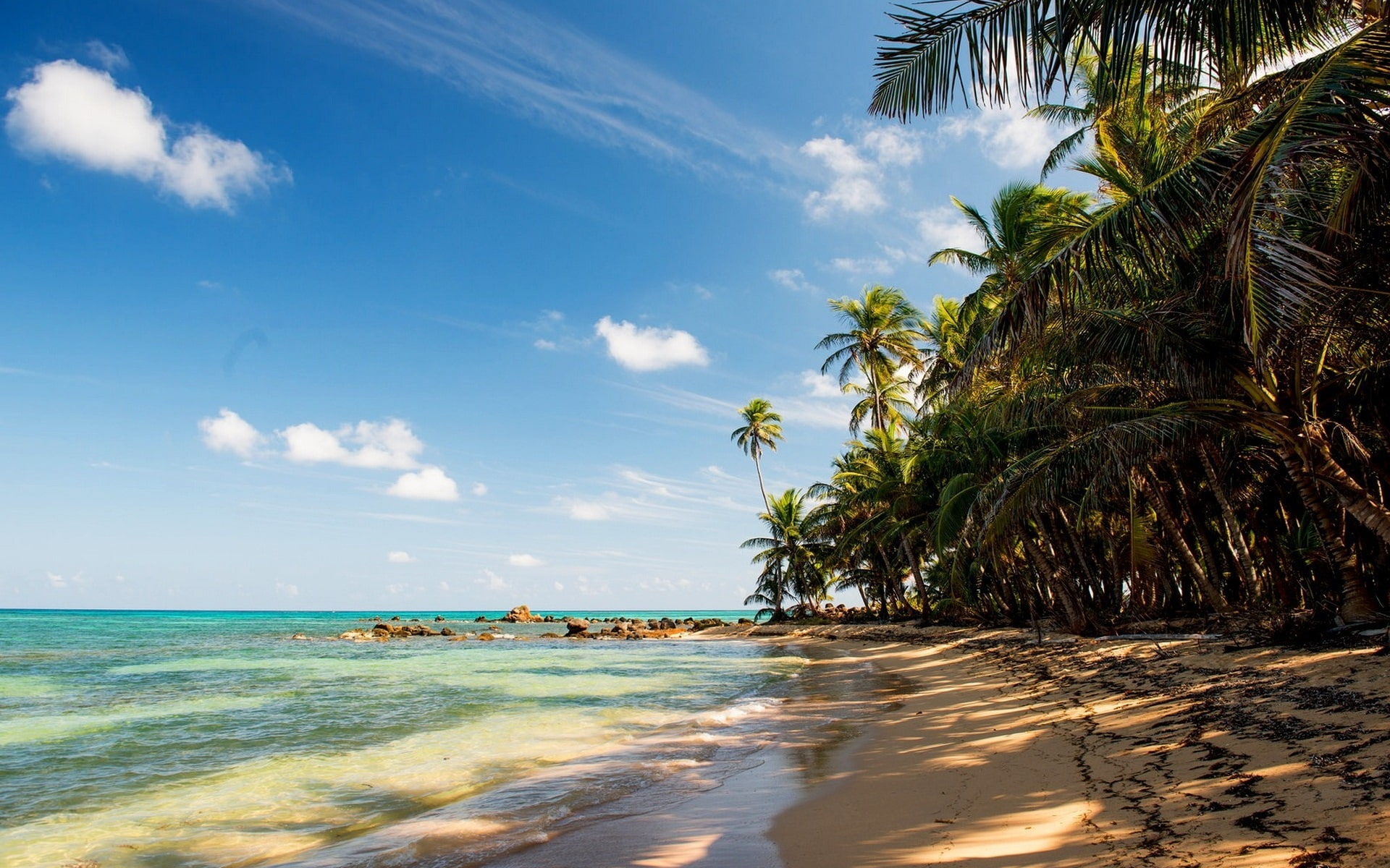 Palm, Beach, 1080P, Sea, Sand, Tropical, Trees, Rocks, HD Wallpaper