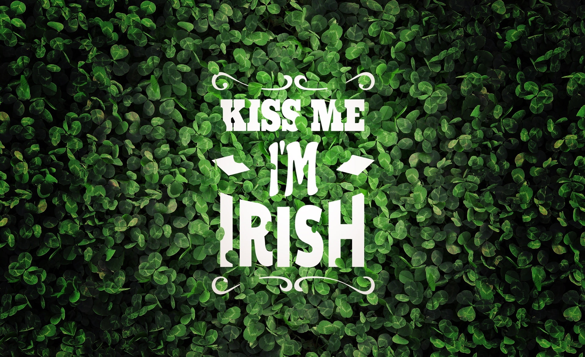western script, capital letter, Clover, message, Irish, nature, Saint Patricks Day, 1080P, warning sign, growth, number, 2014, plant, Holidays, day, information, HD Wallpaper