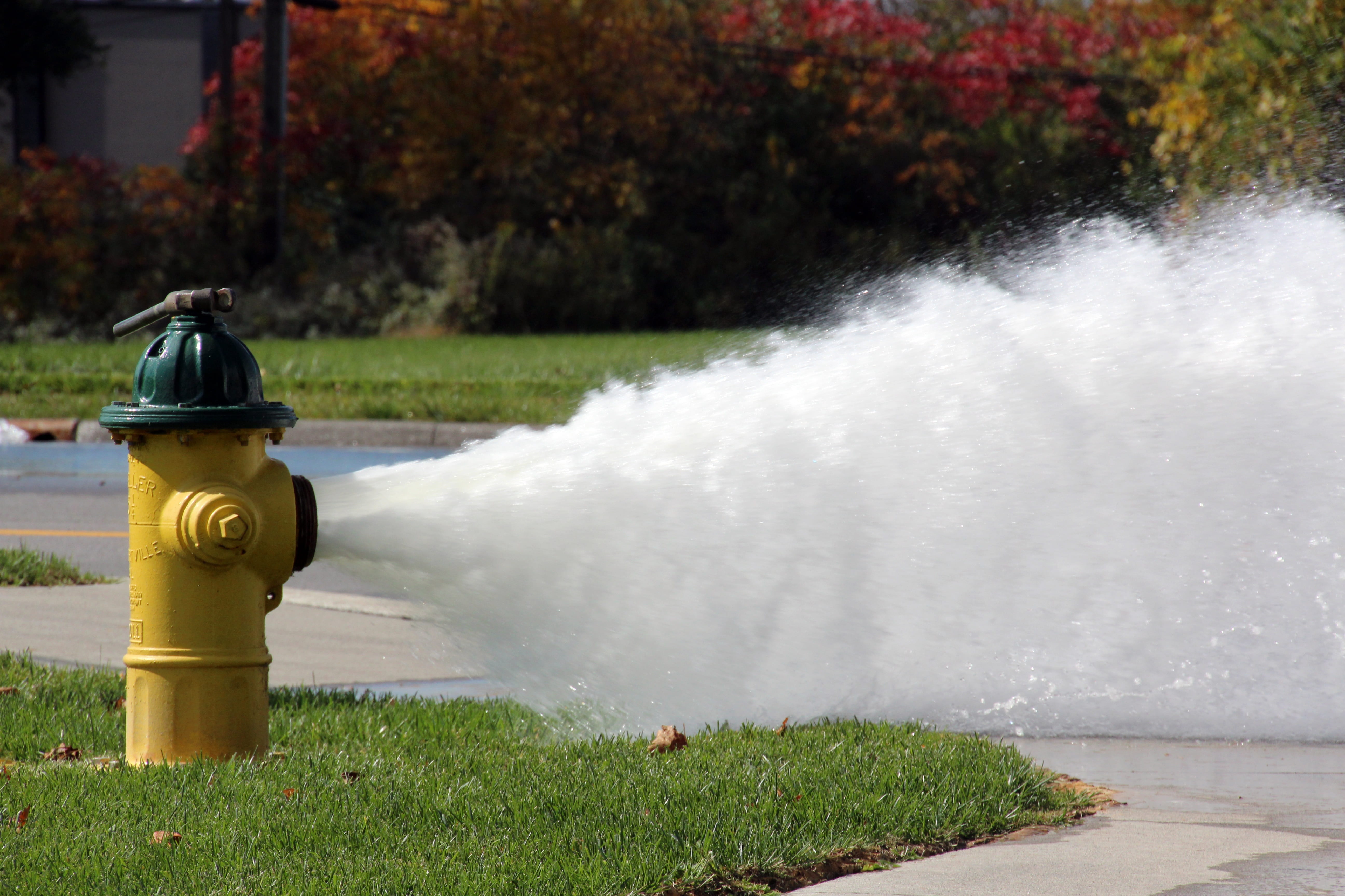 spraying, tree, gushing, no people, grass, flush, beauty in nature, fire plug, water, architecture, flow, fire hydrant, nature, plant, lake, outdoors, stream, HD Wallpaper