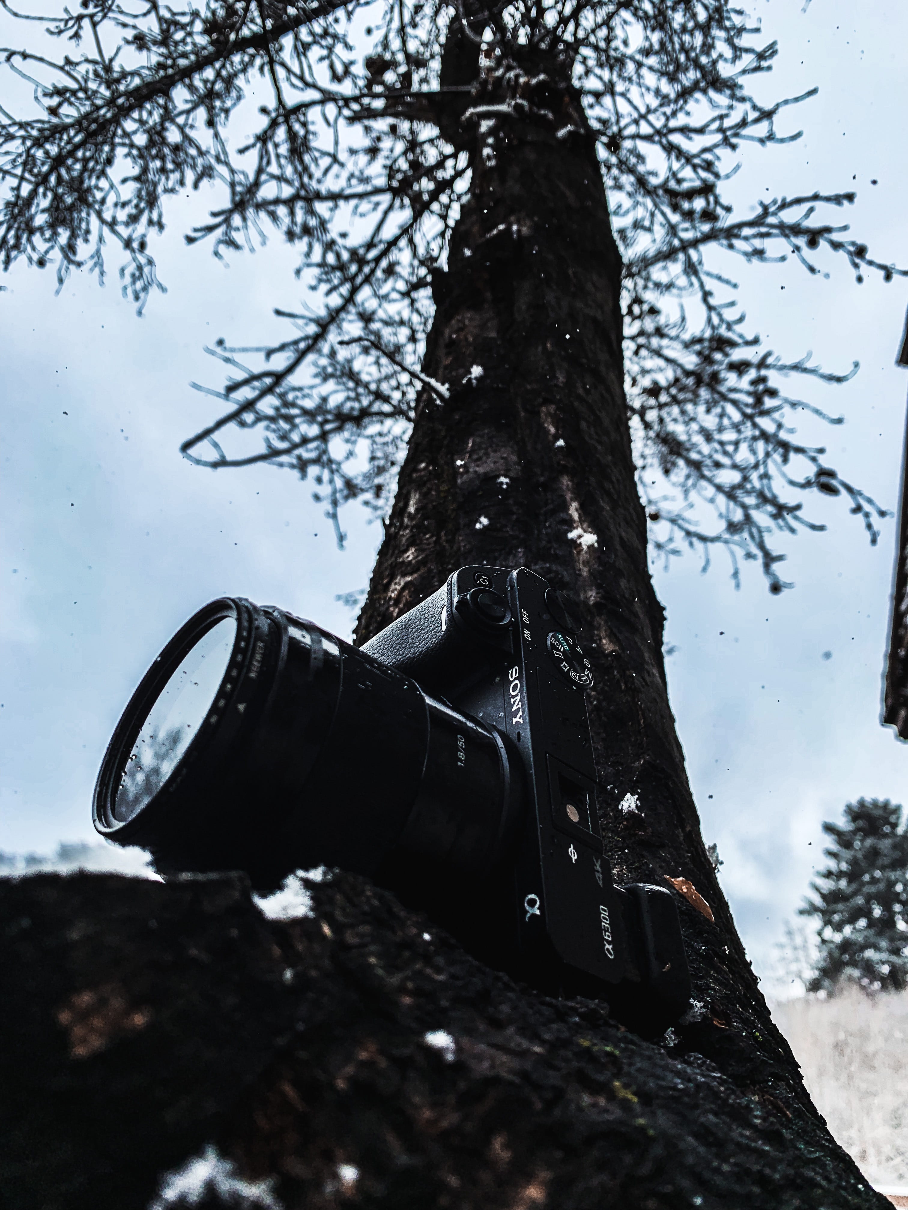electronics, photo, sky, pollution, sony a6300, tree trunk, hydrant, camera, plant, close-up, metal, mirrorless, low angle view, photographer, cannon, camera lens, Phone HD Wallpaper
