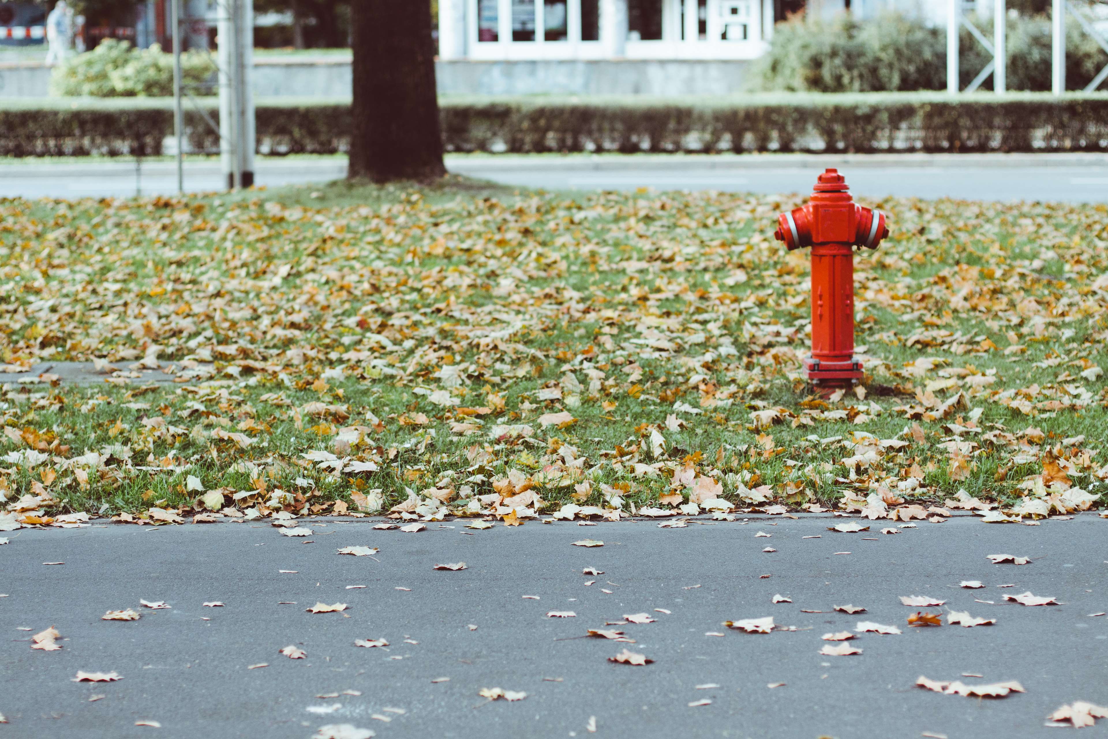 built structure, falling, leaves, hydrant, no people, 4K, footpath, change, architecture, outdoors, metal, fire hydrant, street, plant, leaf, red, autumn, HD Wallpaper