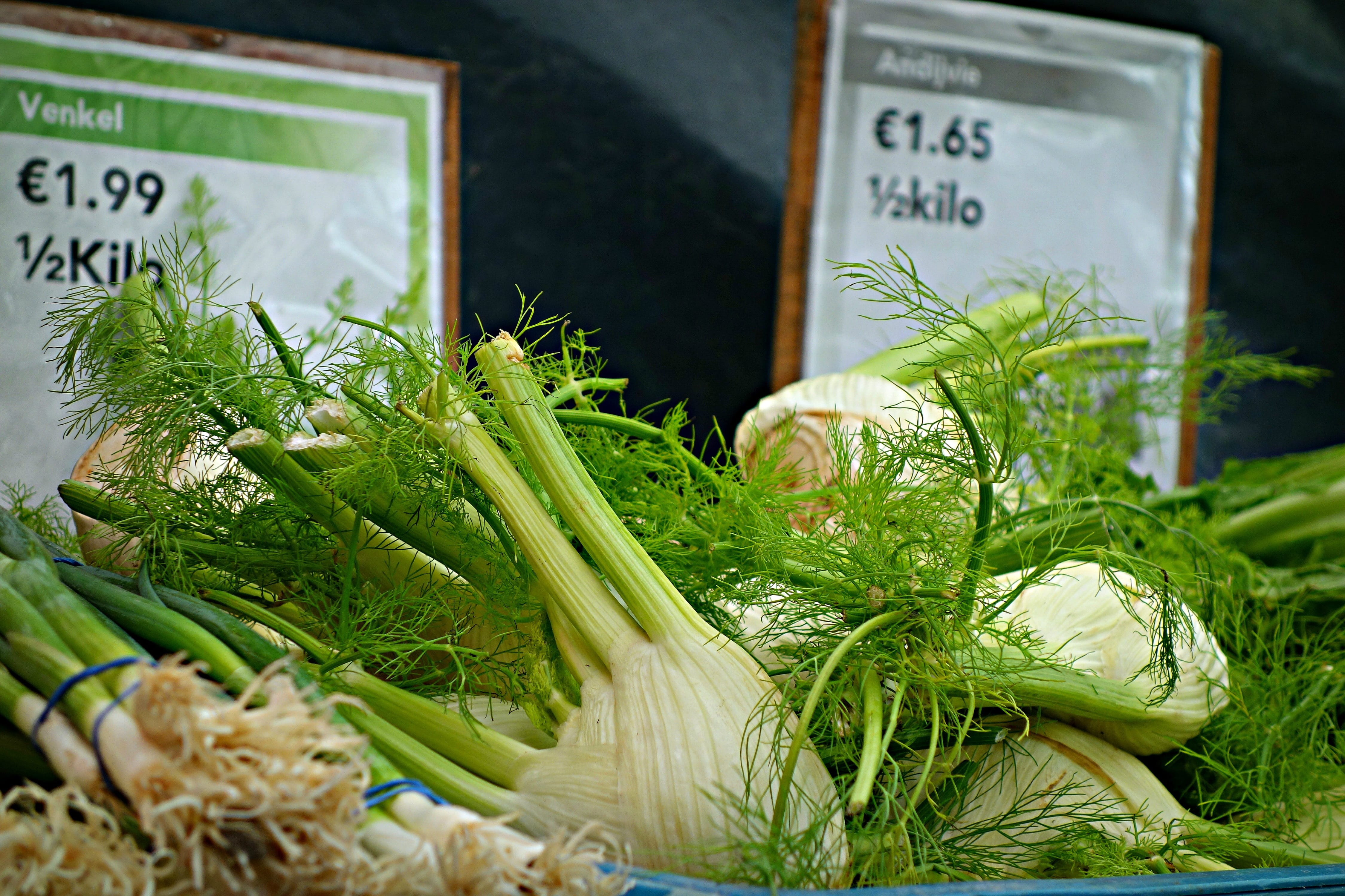 fennel bulb, medicine, Foeniculum Vulgare, healthy eating, market stall, retail, price tag, food and drink, green color, vegetable, market, anise, wellbeing, HD Wallpaper