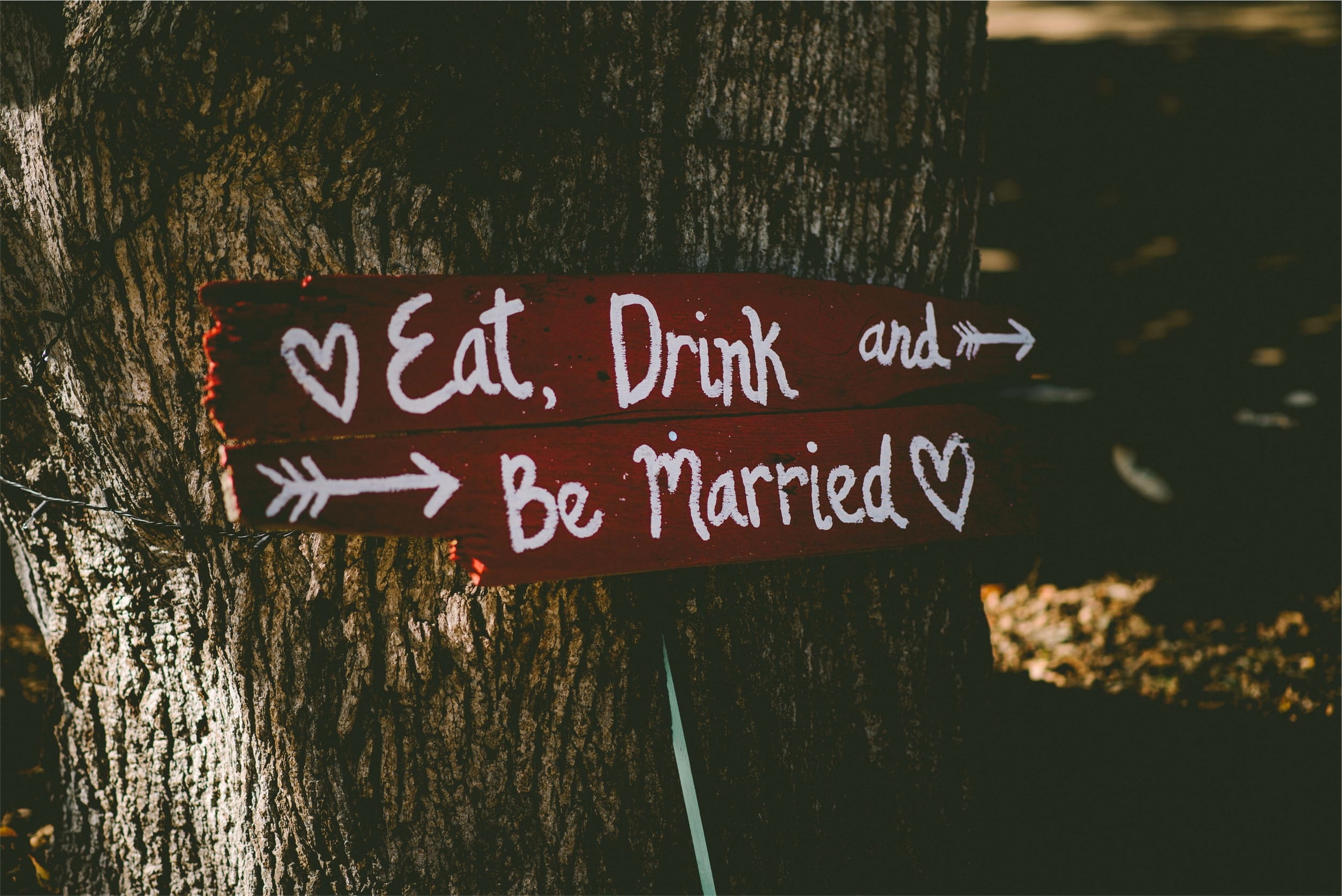 no people, trunk, day, marriage, warning sign, message, tree trunk, text, sign, plant, nature, leaning, tree, Drink, two, information, wood - material, HD Wallpaper